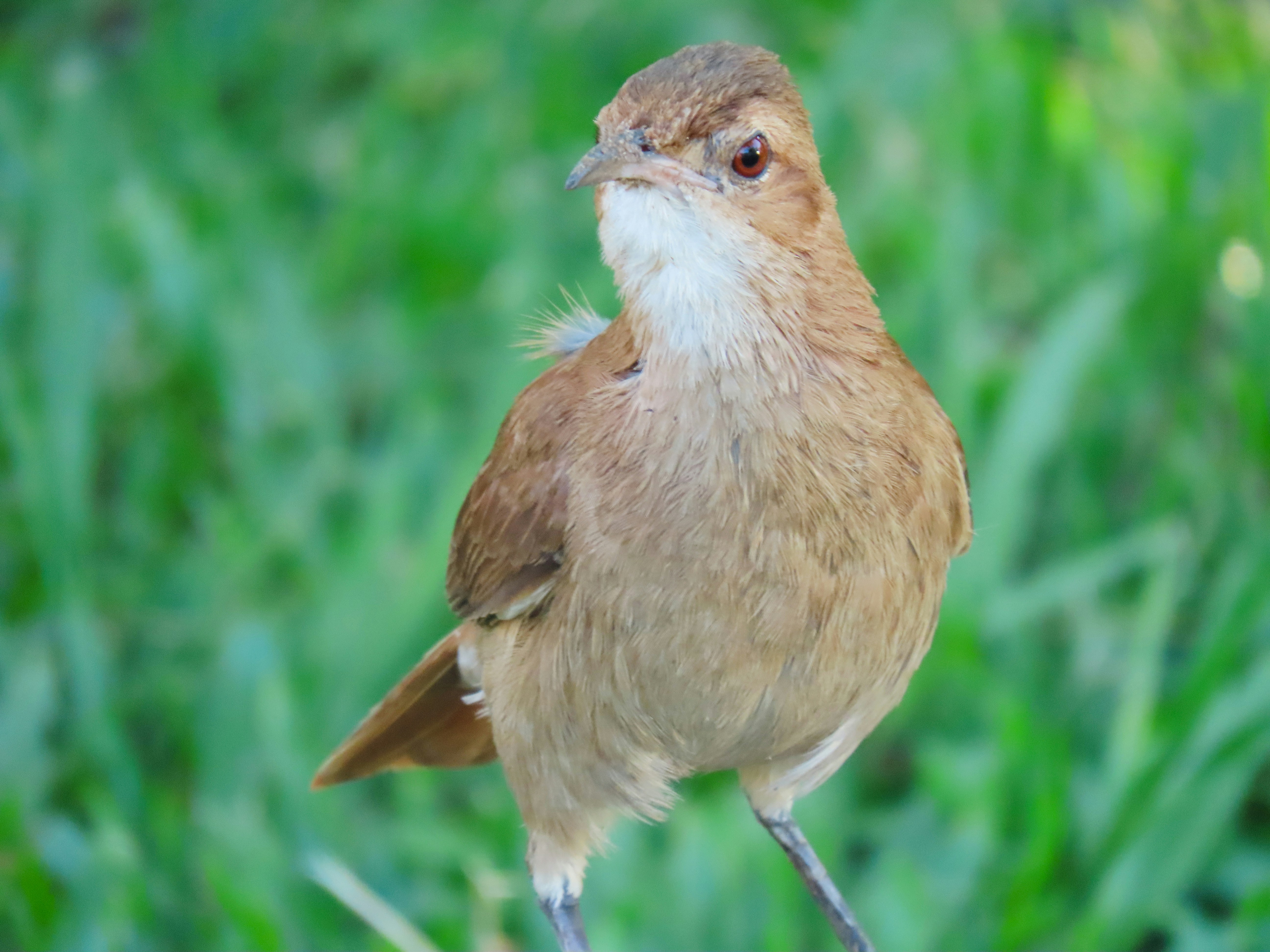 Photo by patricianicoloso