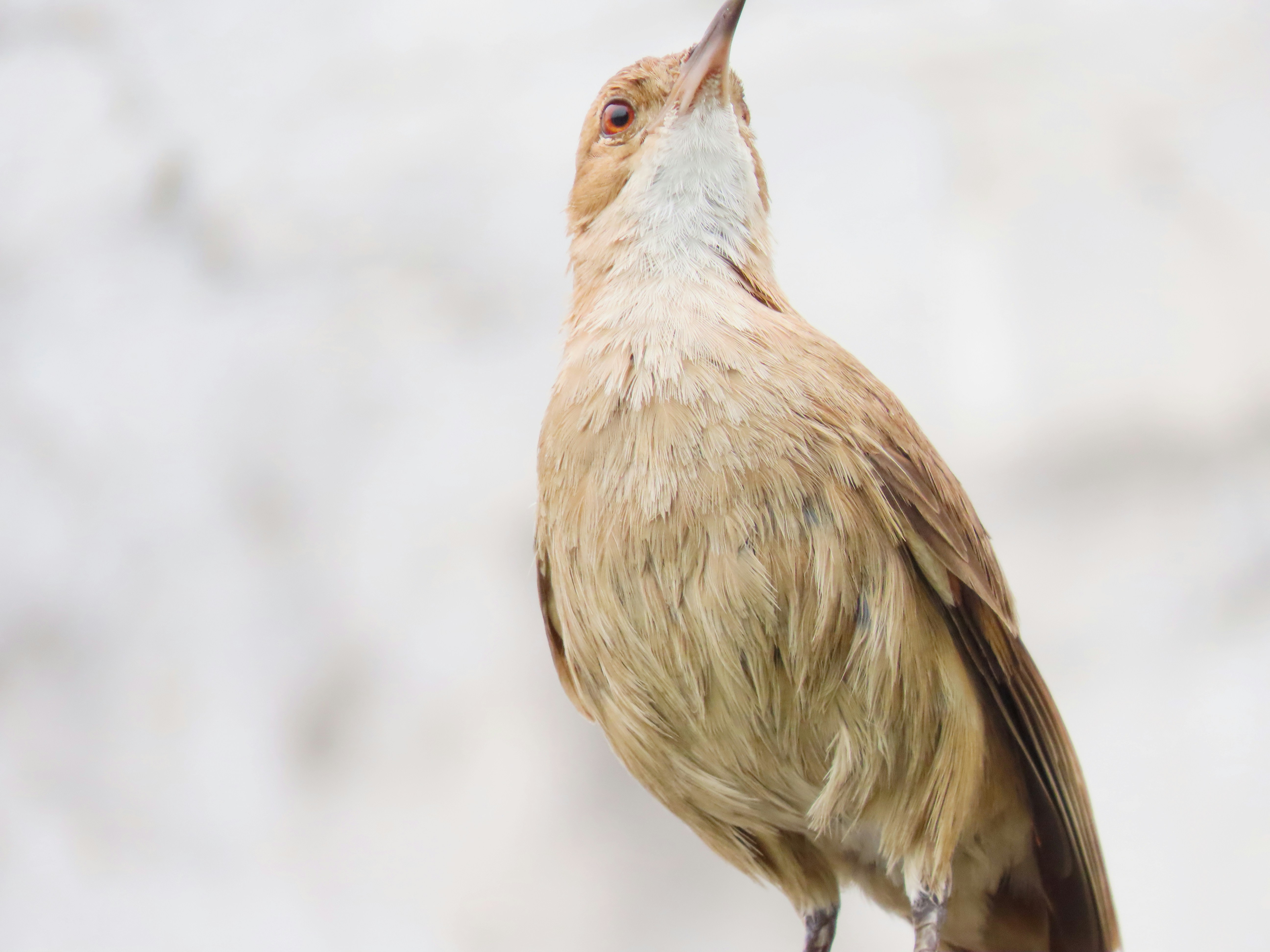 Photo by patricianicoloso