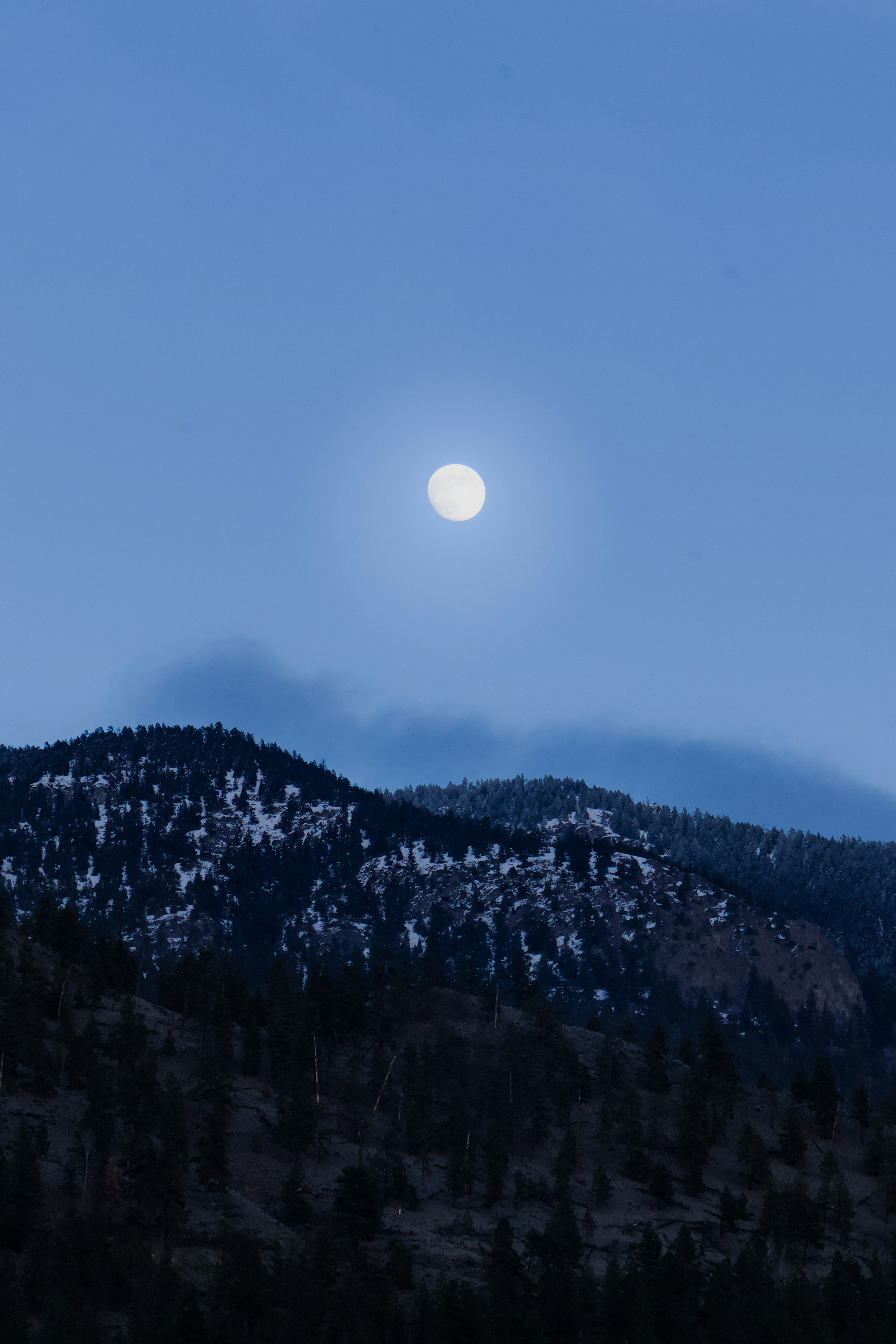 Photo by carbonmonoxide