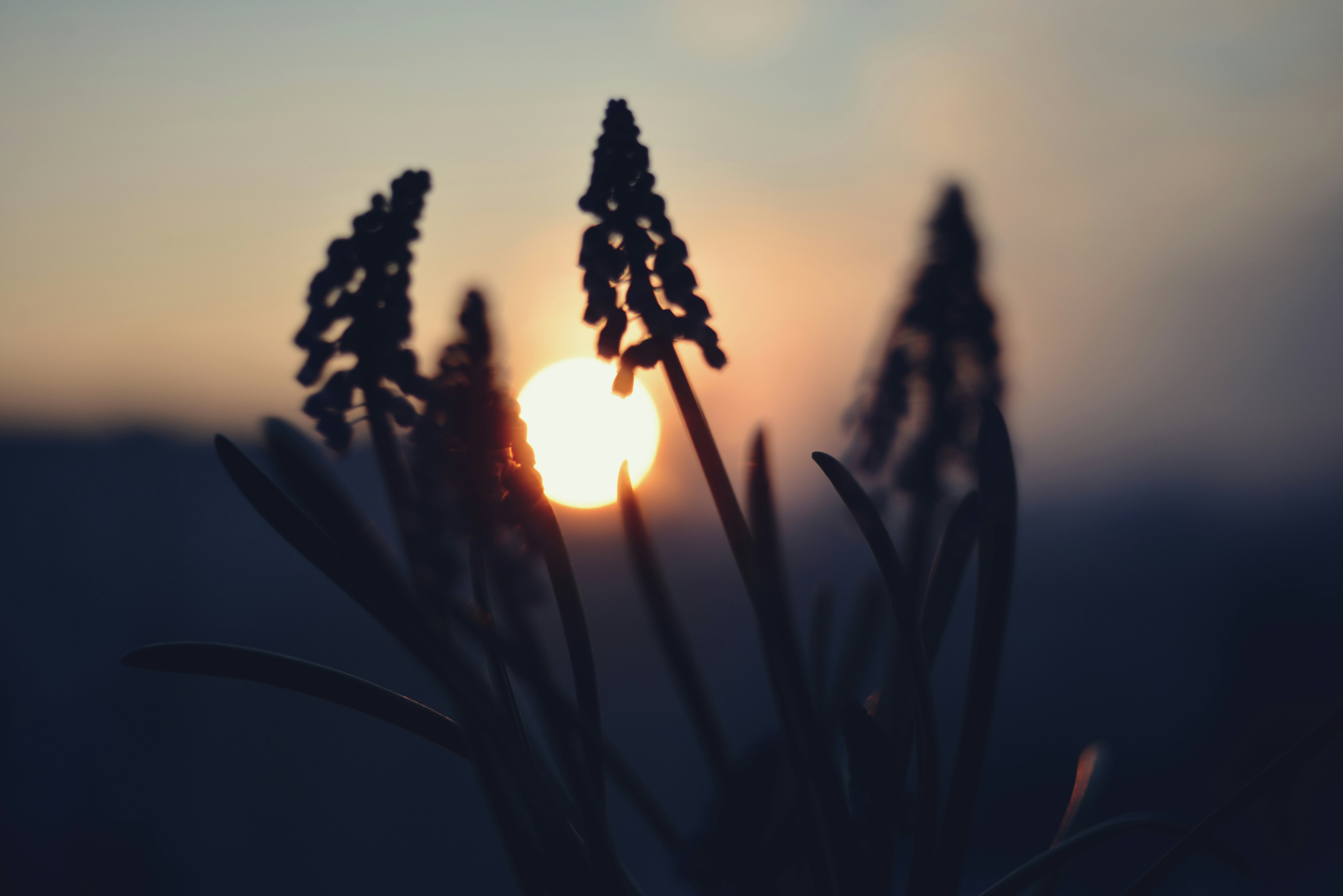 Photo by cherstve_pechivo