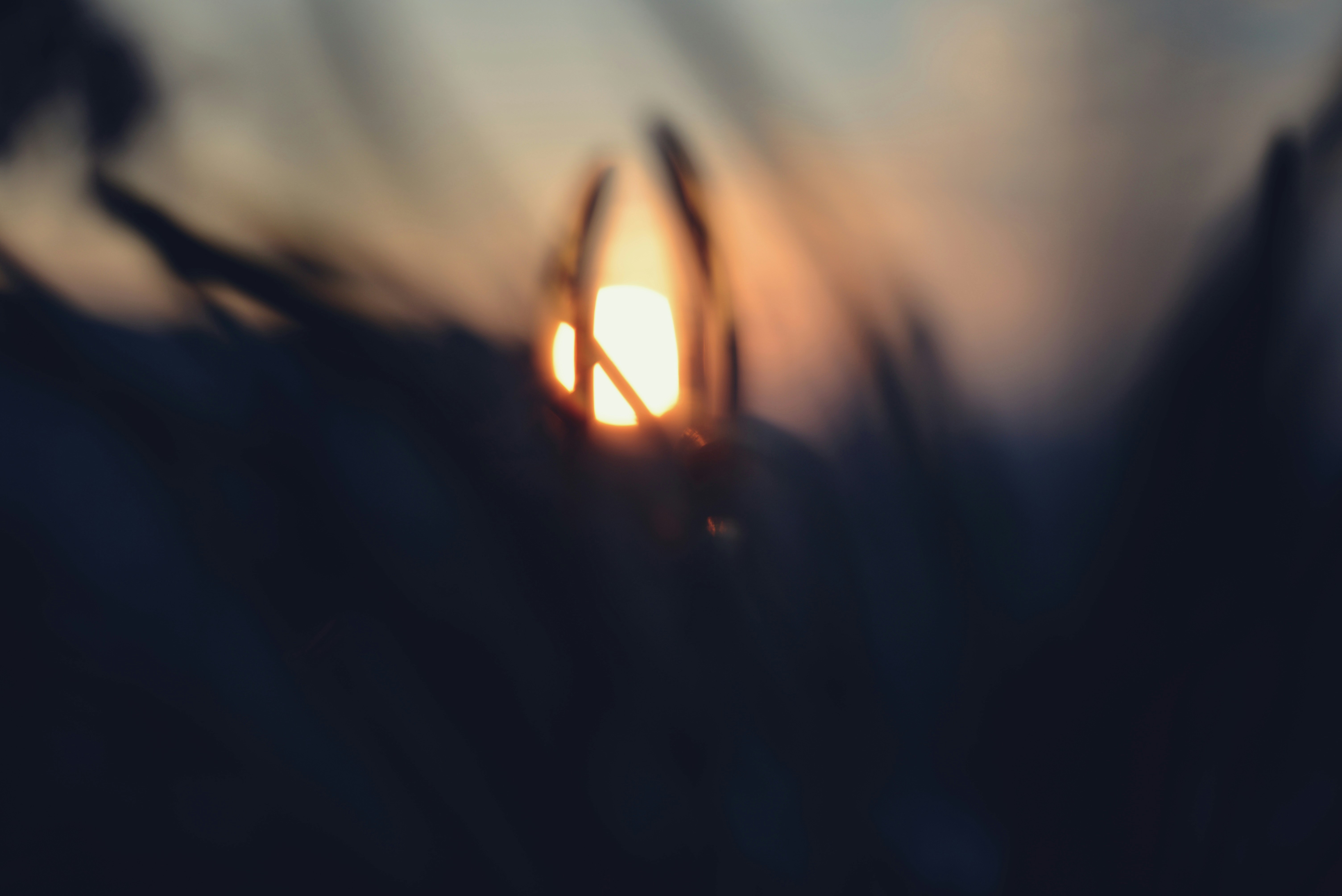 Photo by cherstve_pechivo