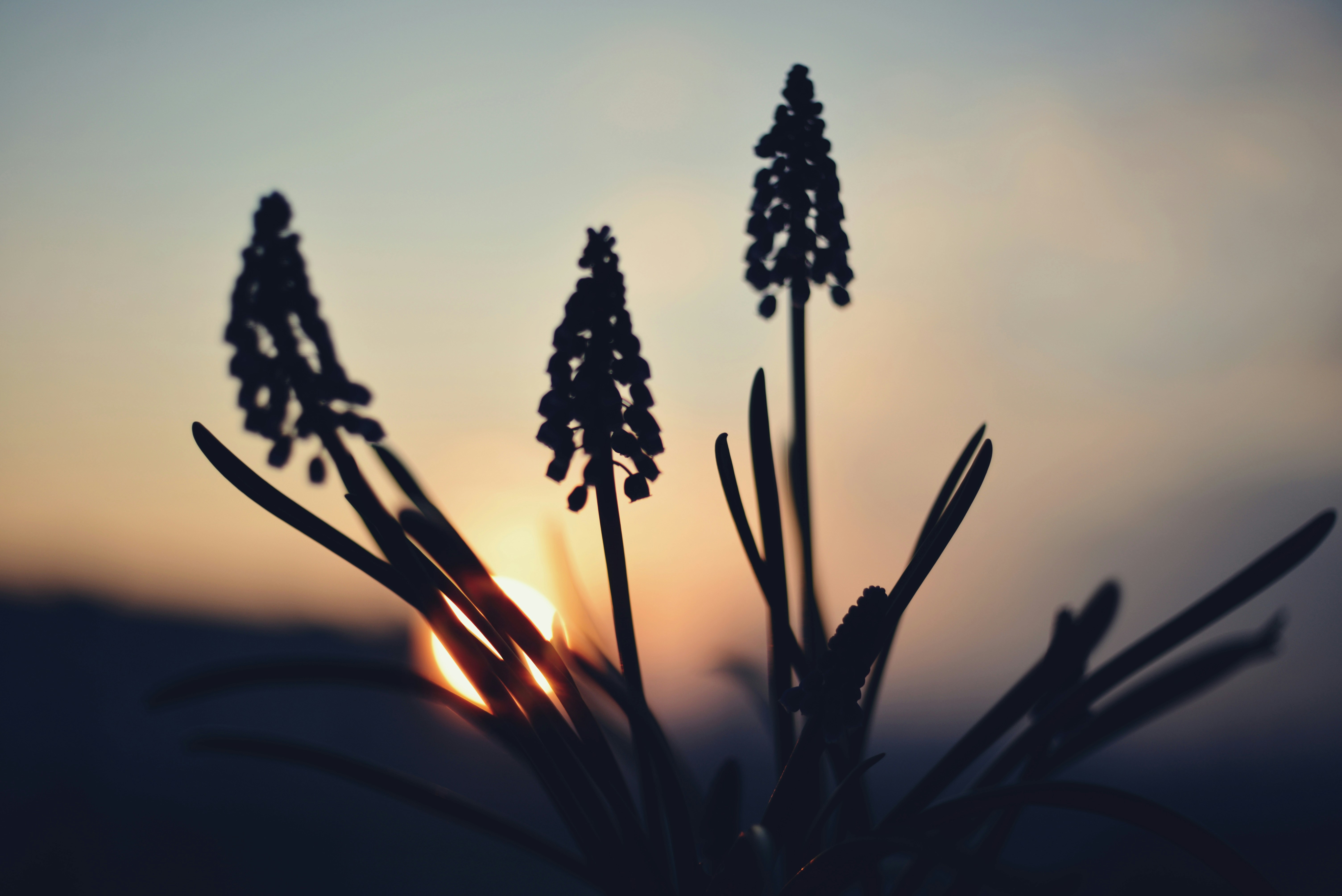 Photo by cherstve_pechivo