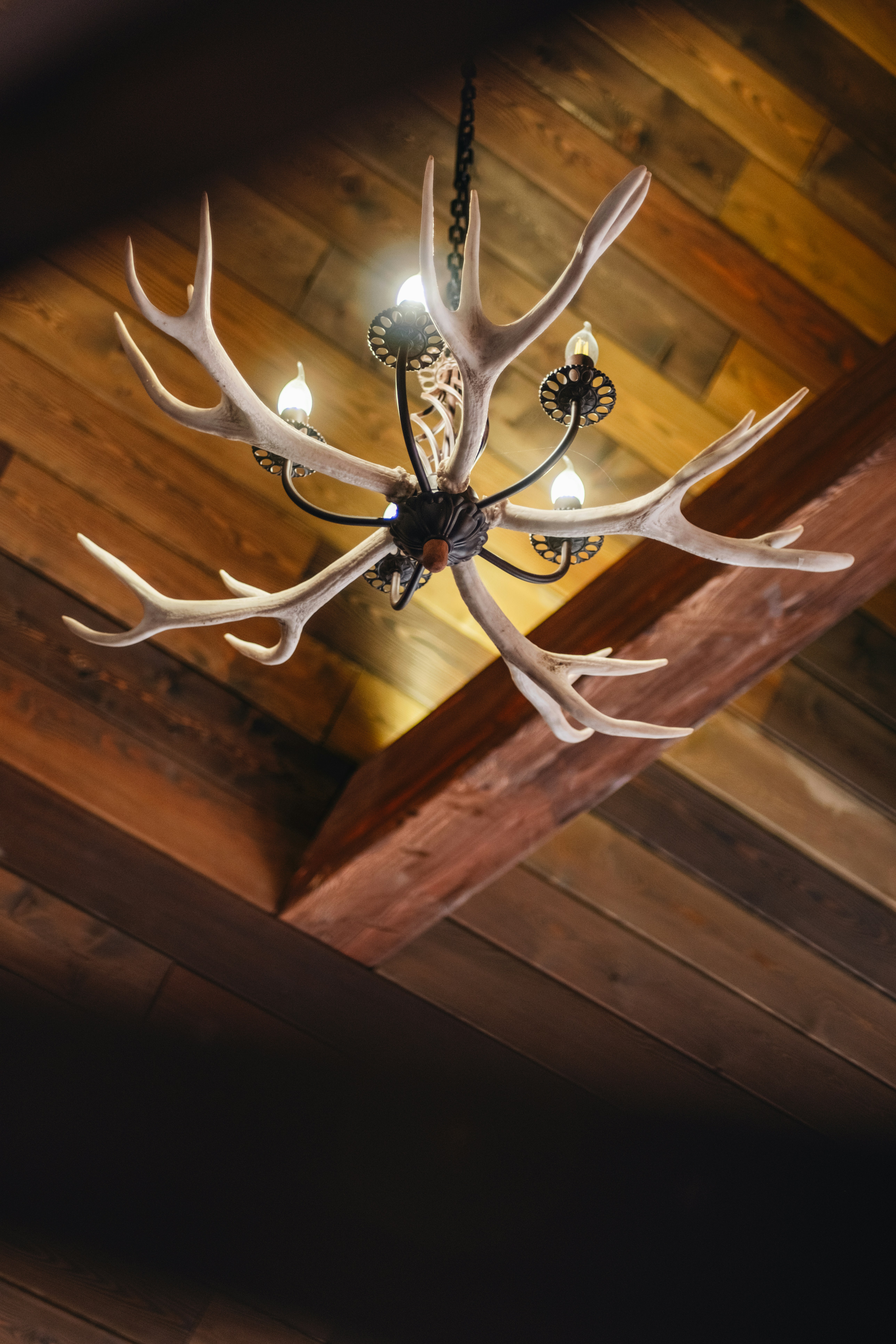 A chandelier hanging from a wooden ceiling