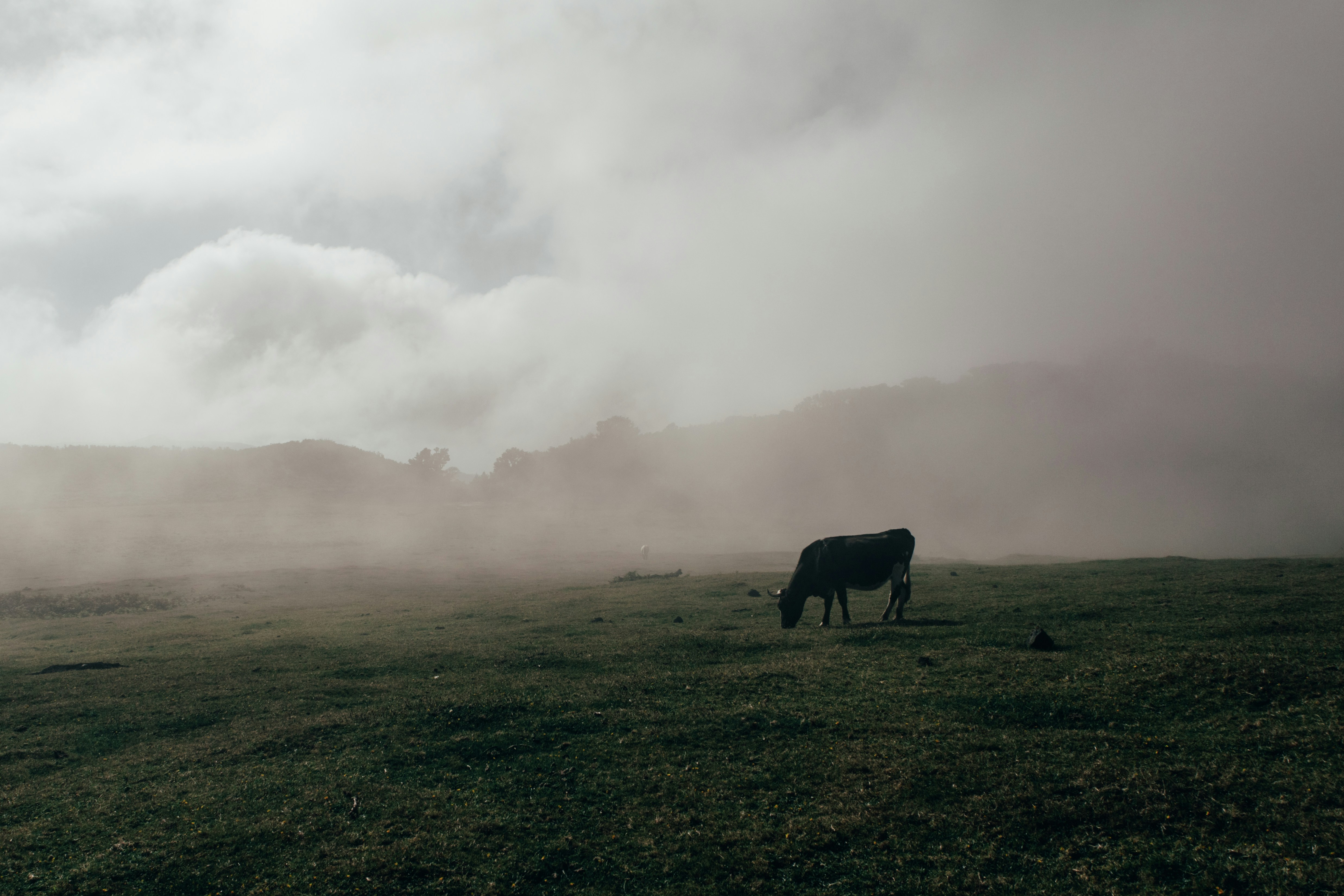 Photo by angelika_past