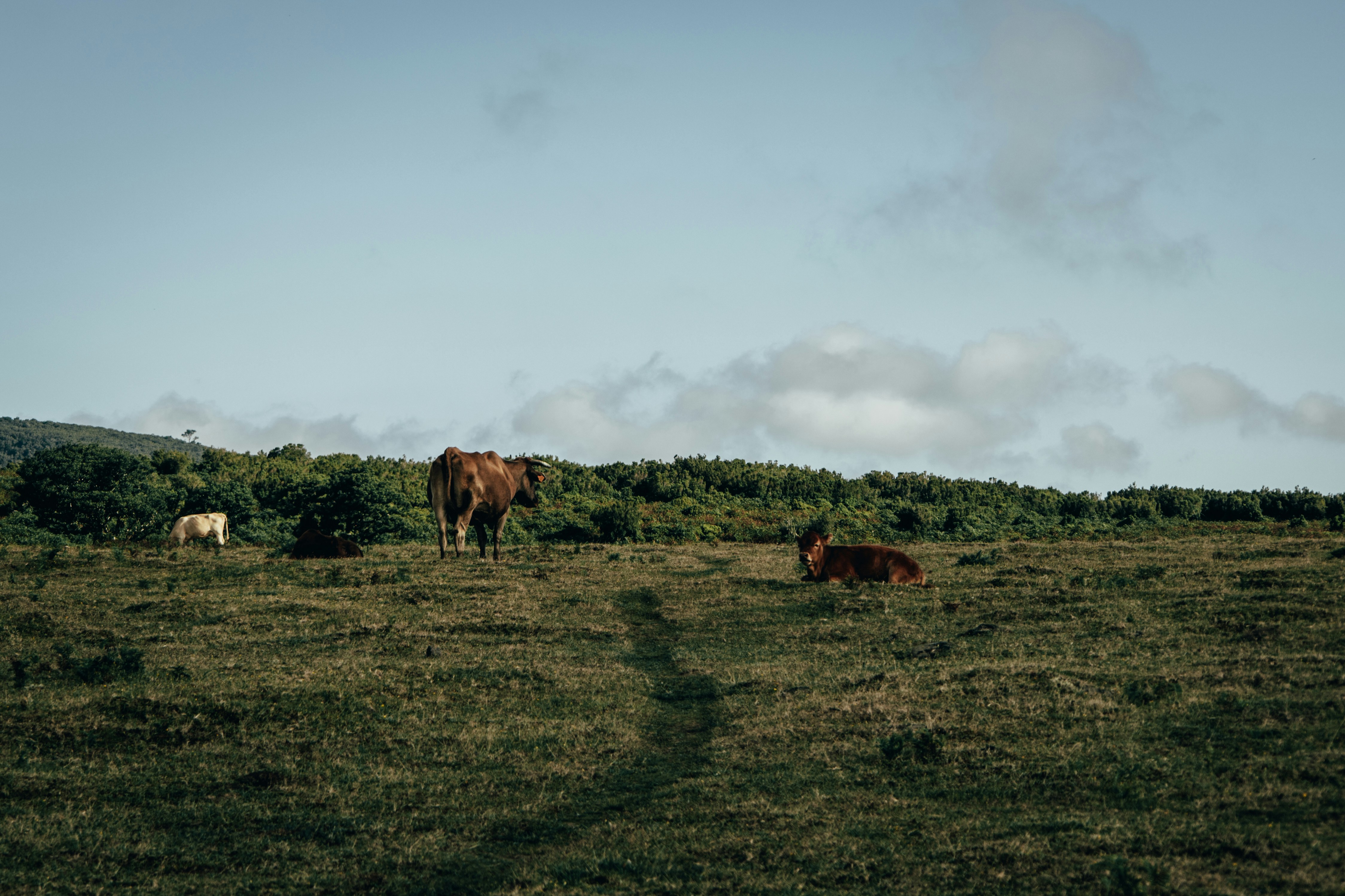 Photo by angelika_past