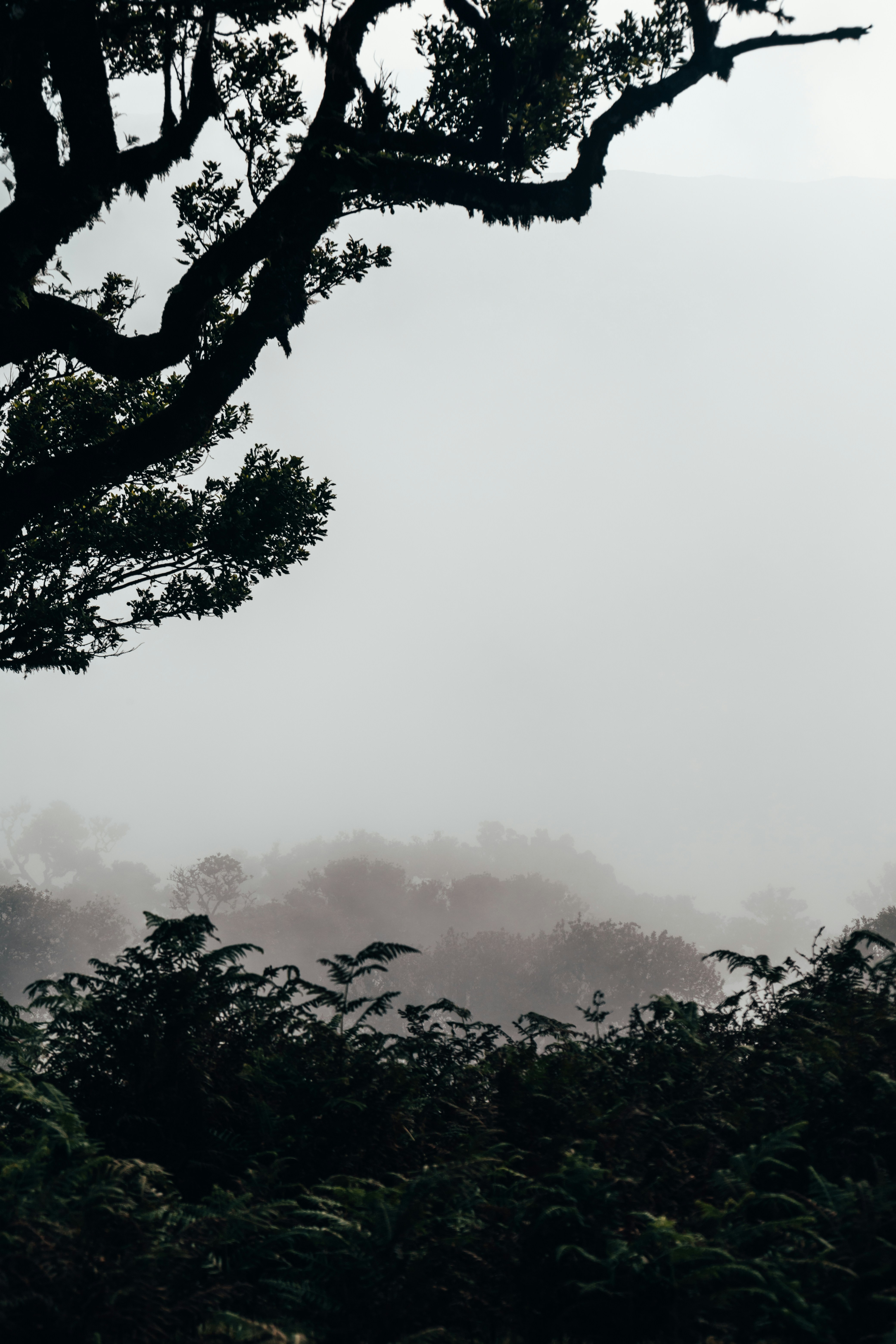 Photo by angelika_past