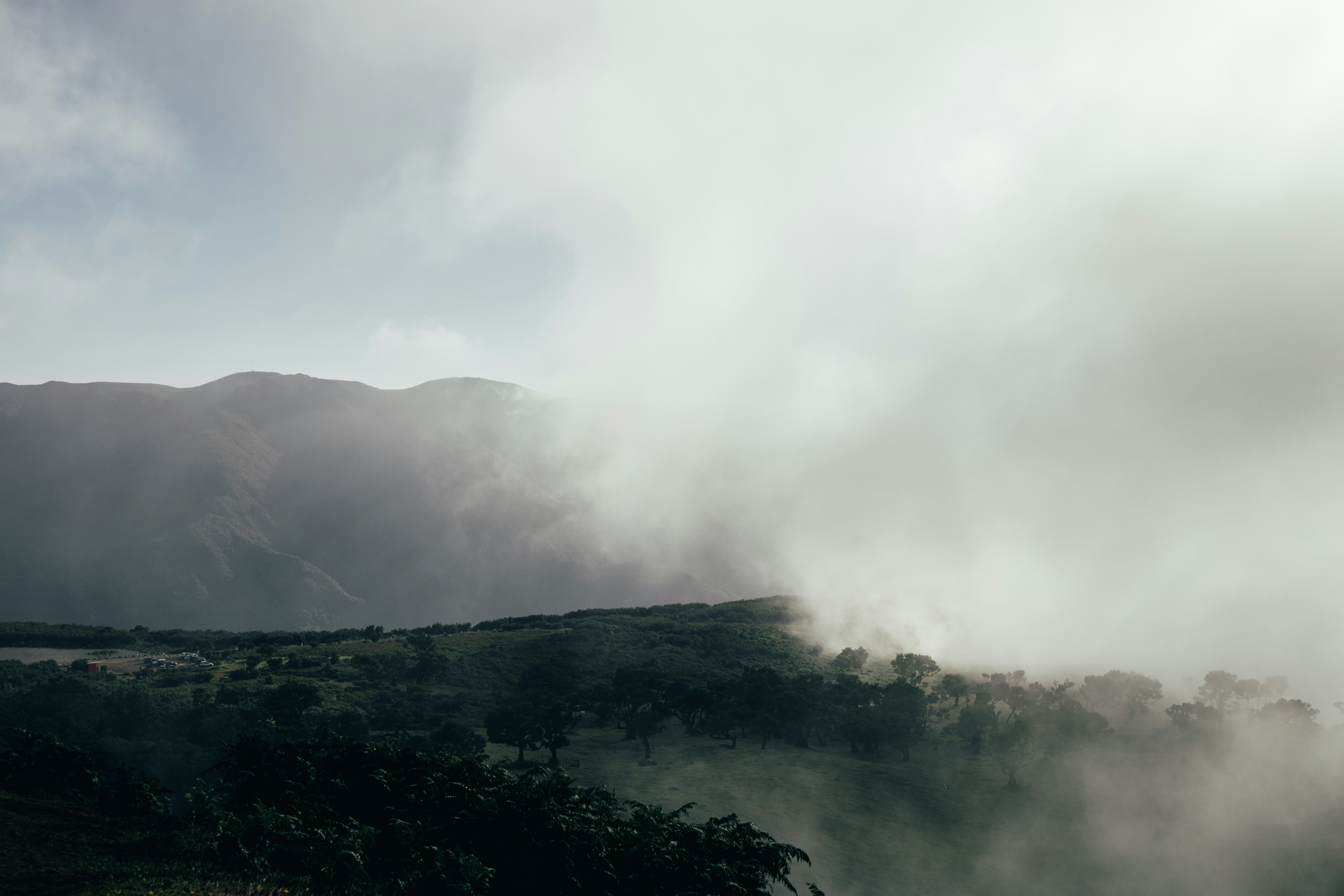 Photo by angelika_past