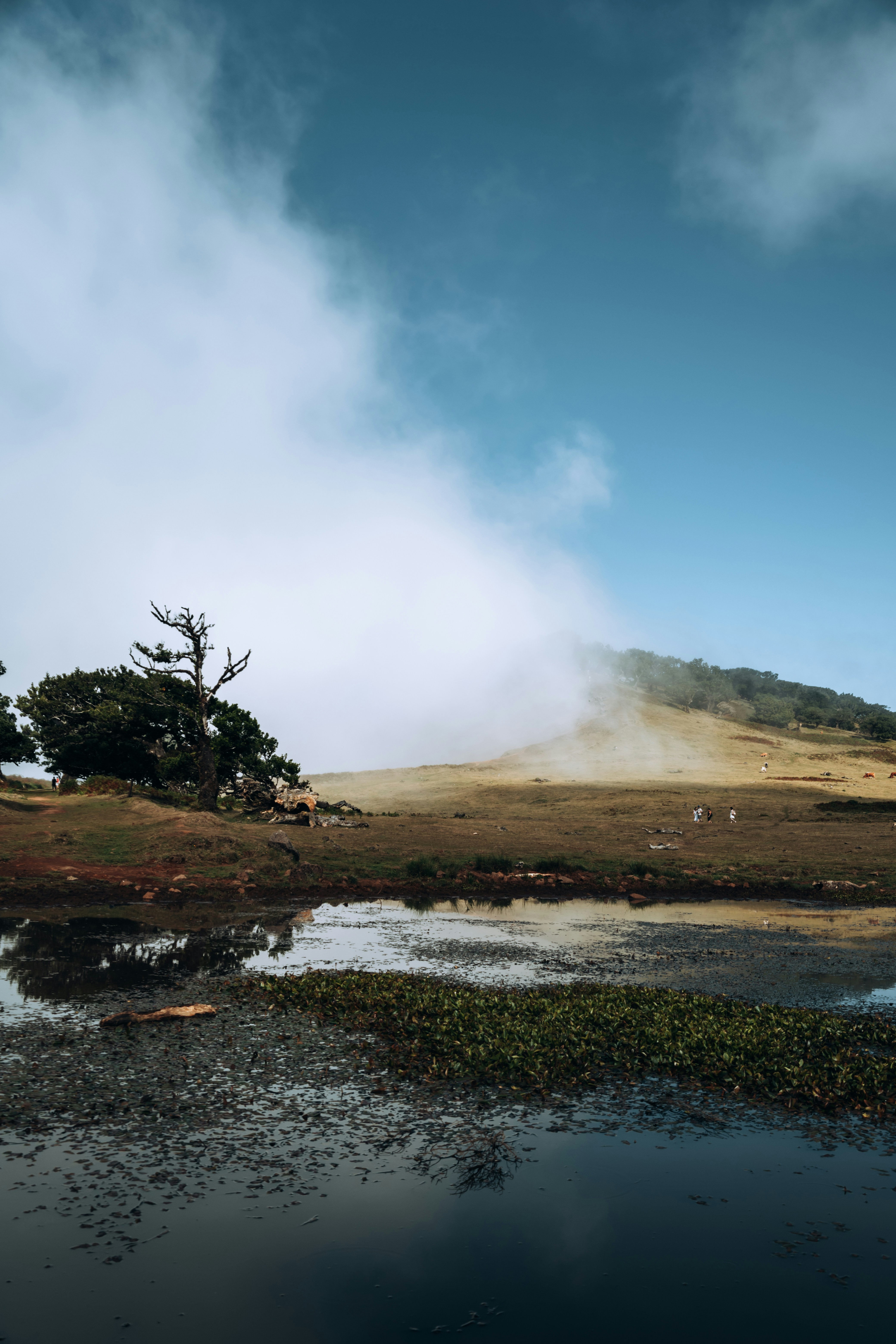 Photo by angelika_past