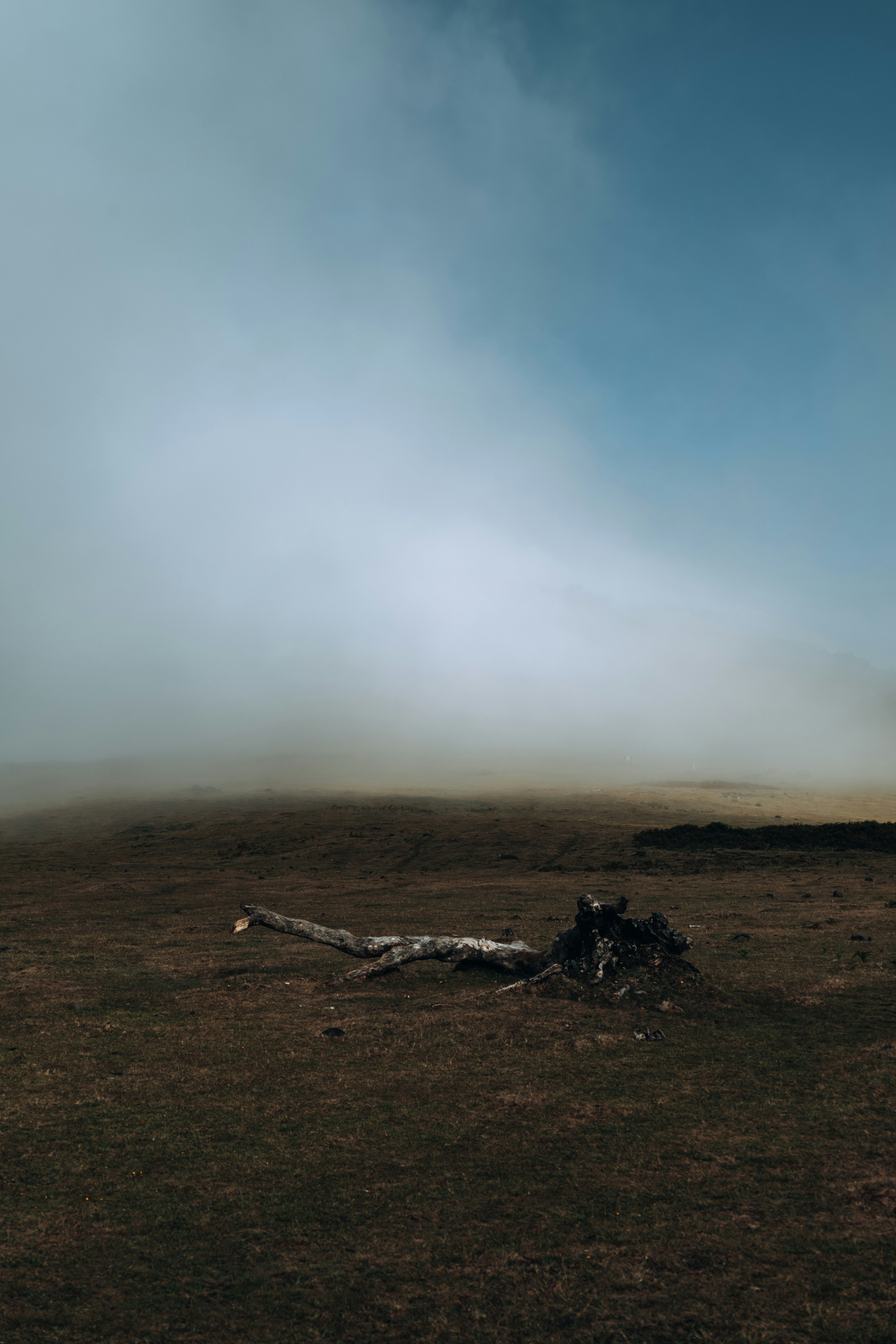 Photo by angelika_past