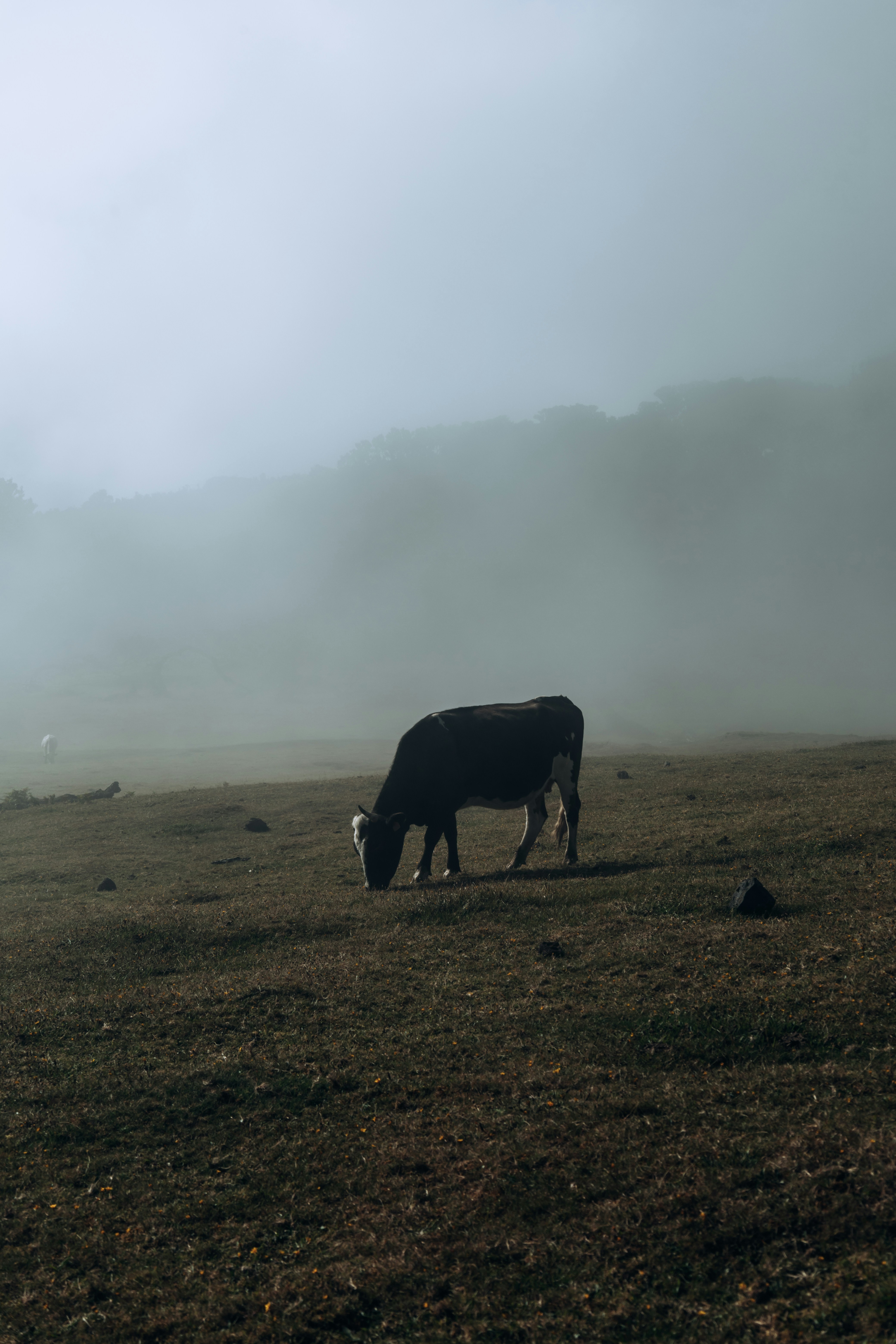 Photo by angelika_past