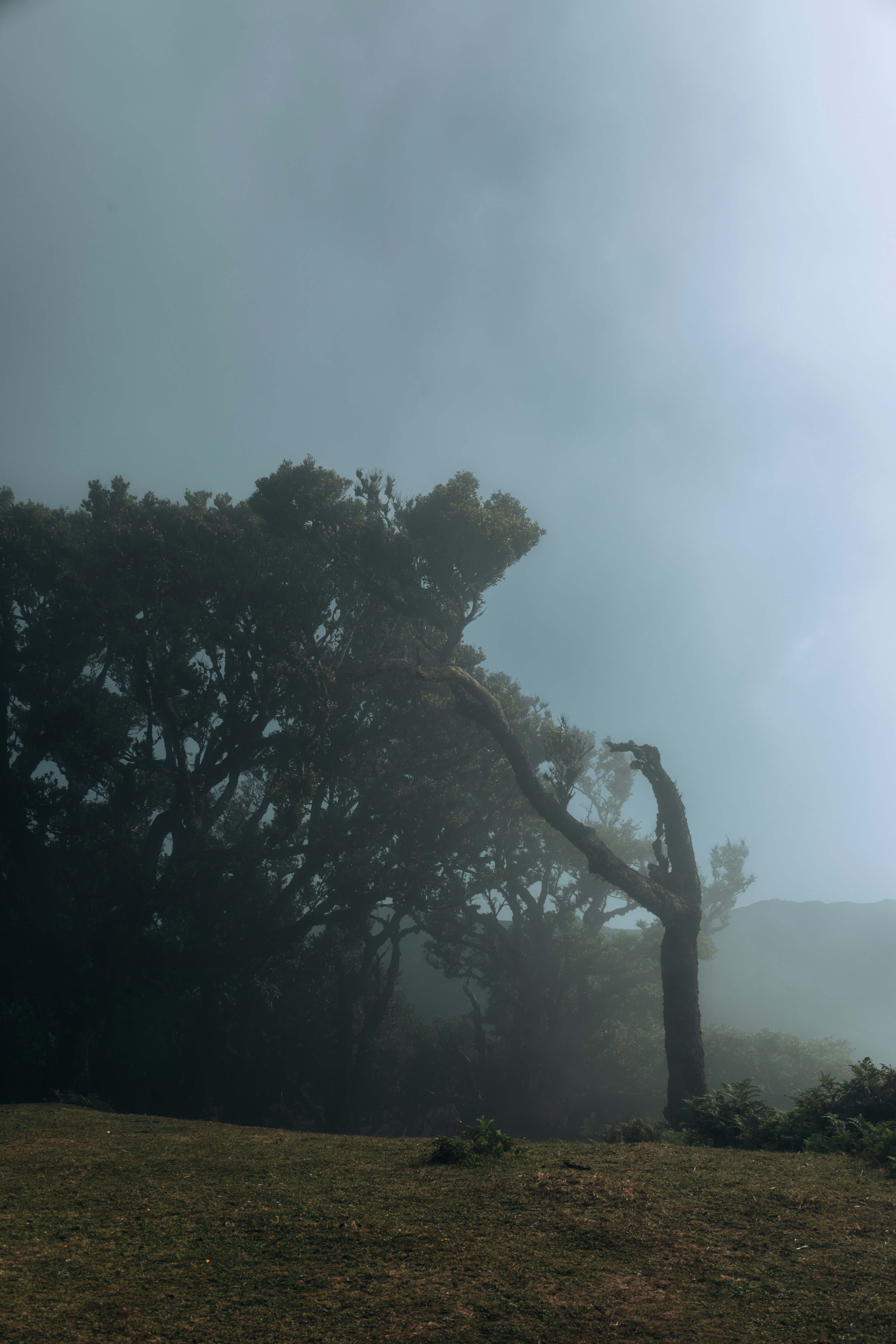 Photo by angelika_past