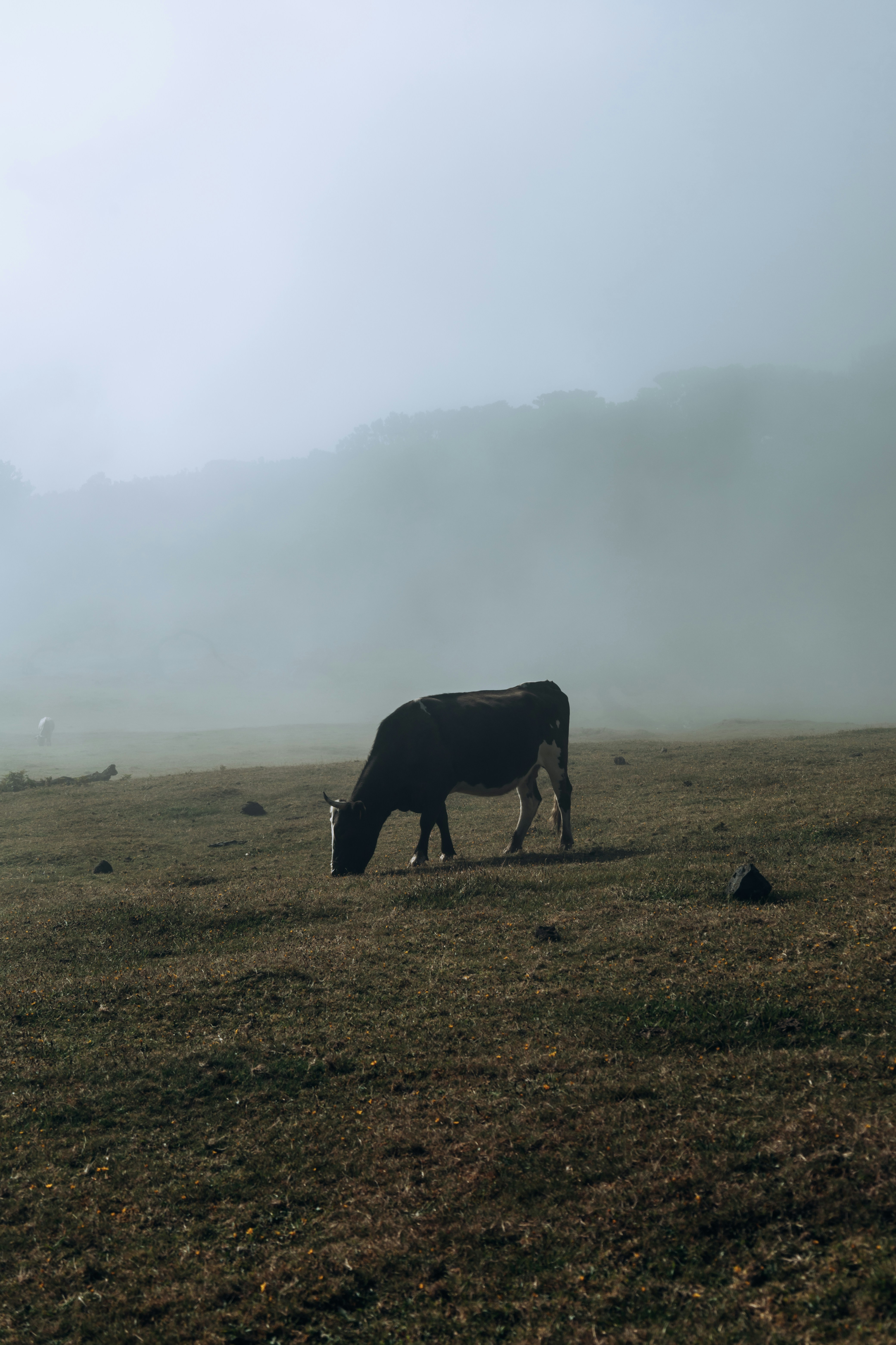 Photo by angelika_past