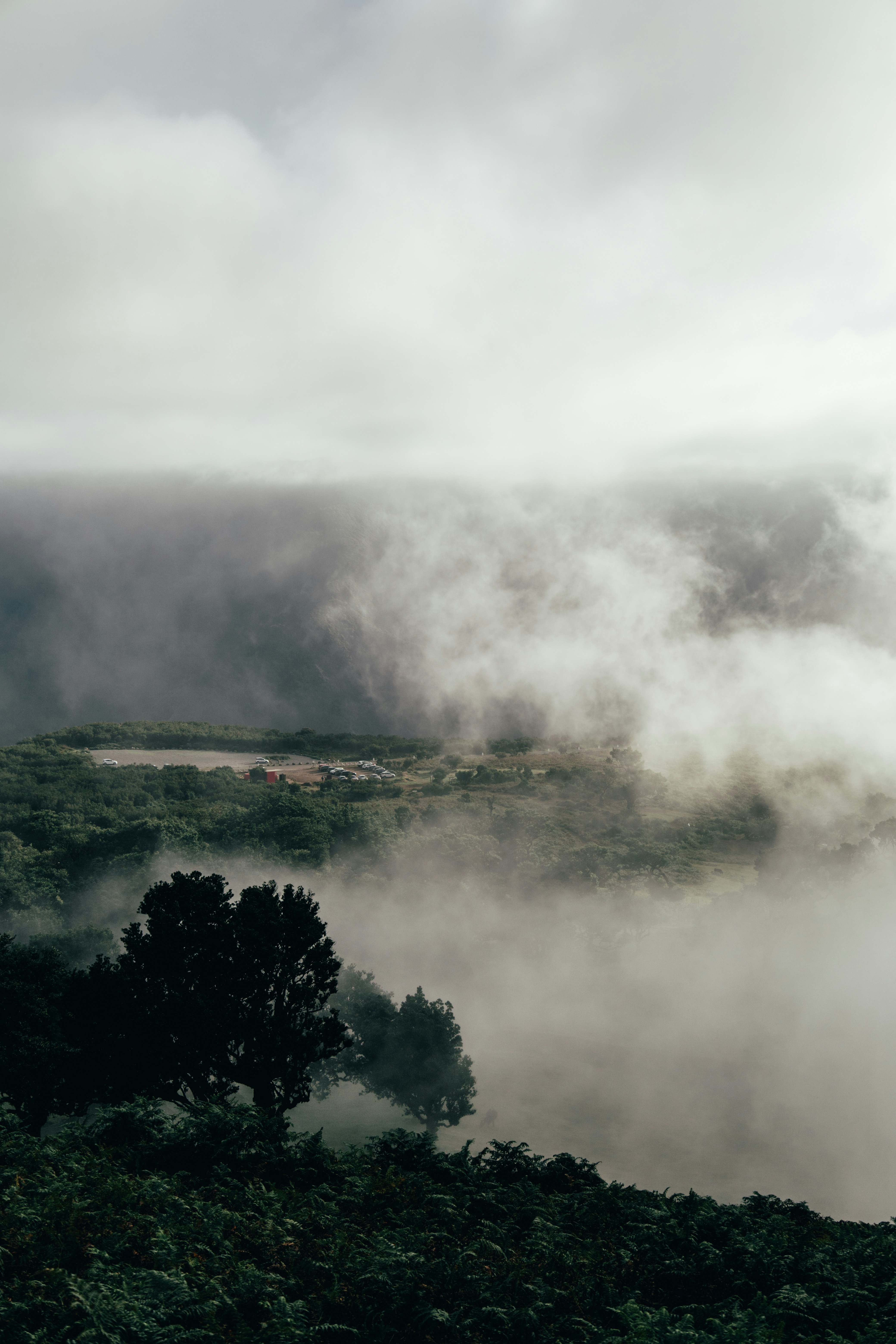 Photo by angelika_past