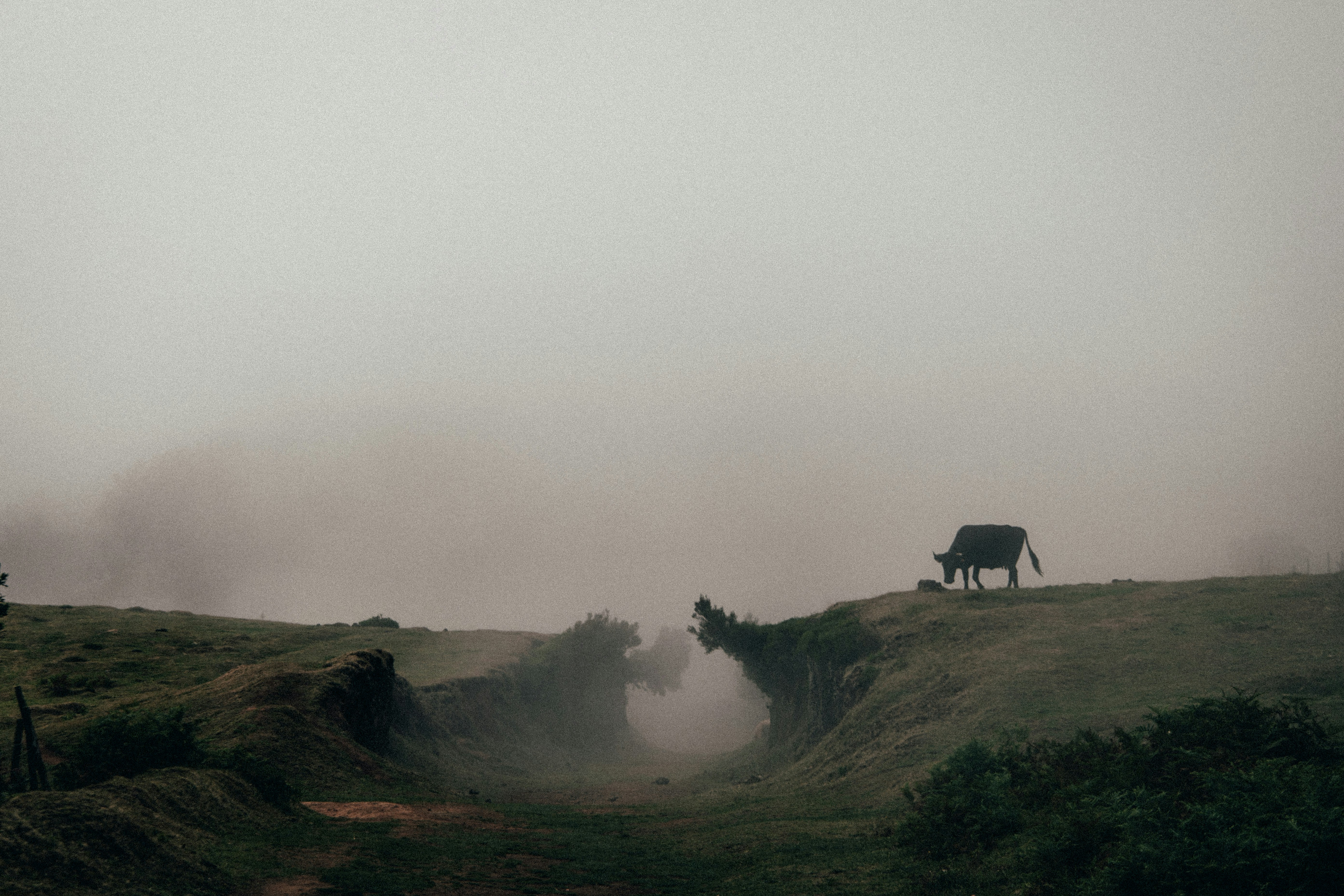 Photo by angelika_past