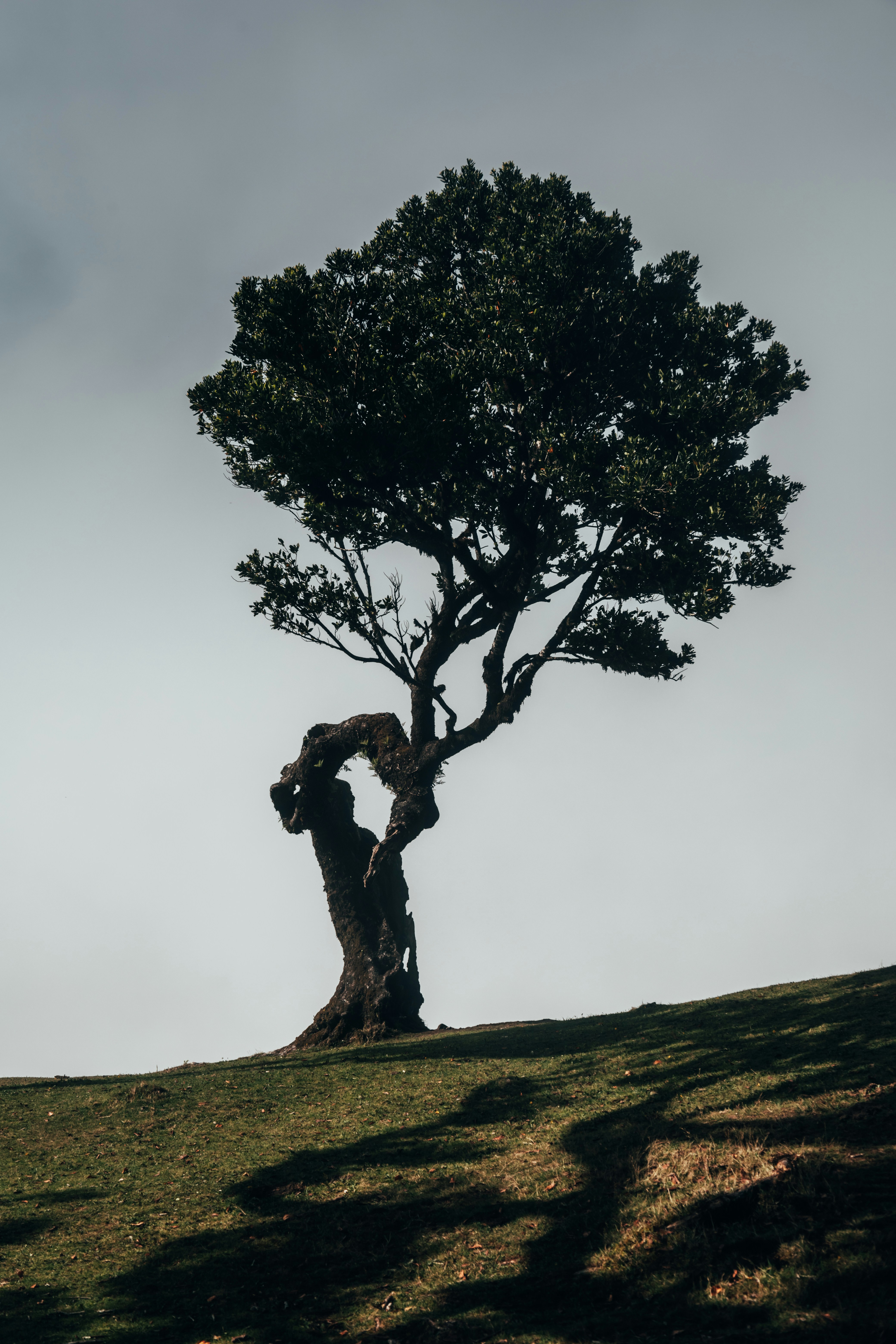 Photo by angelika_past