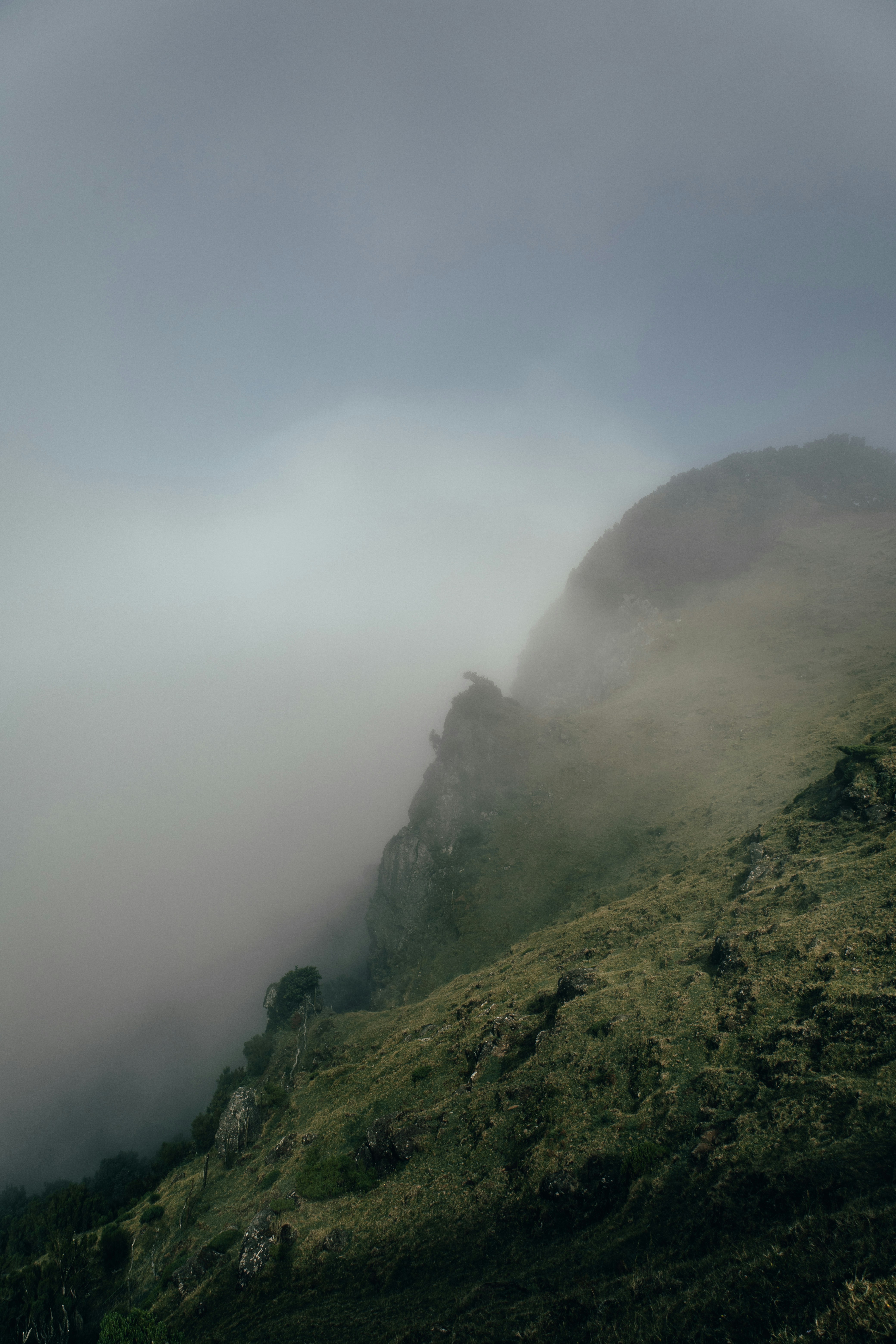 Photo by angelika_past