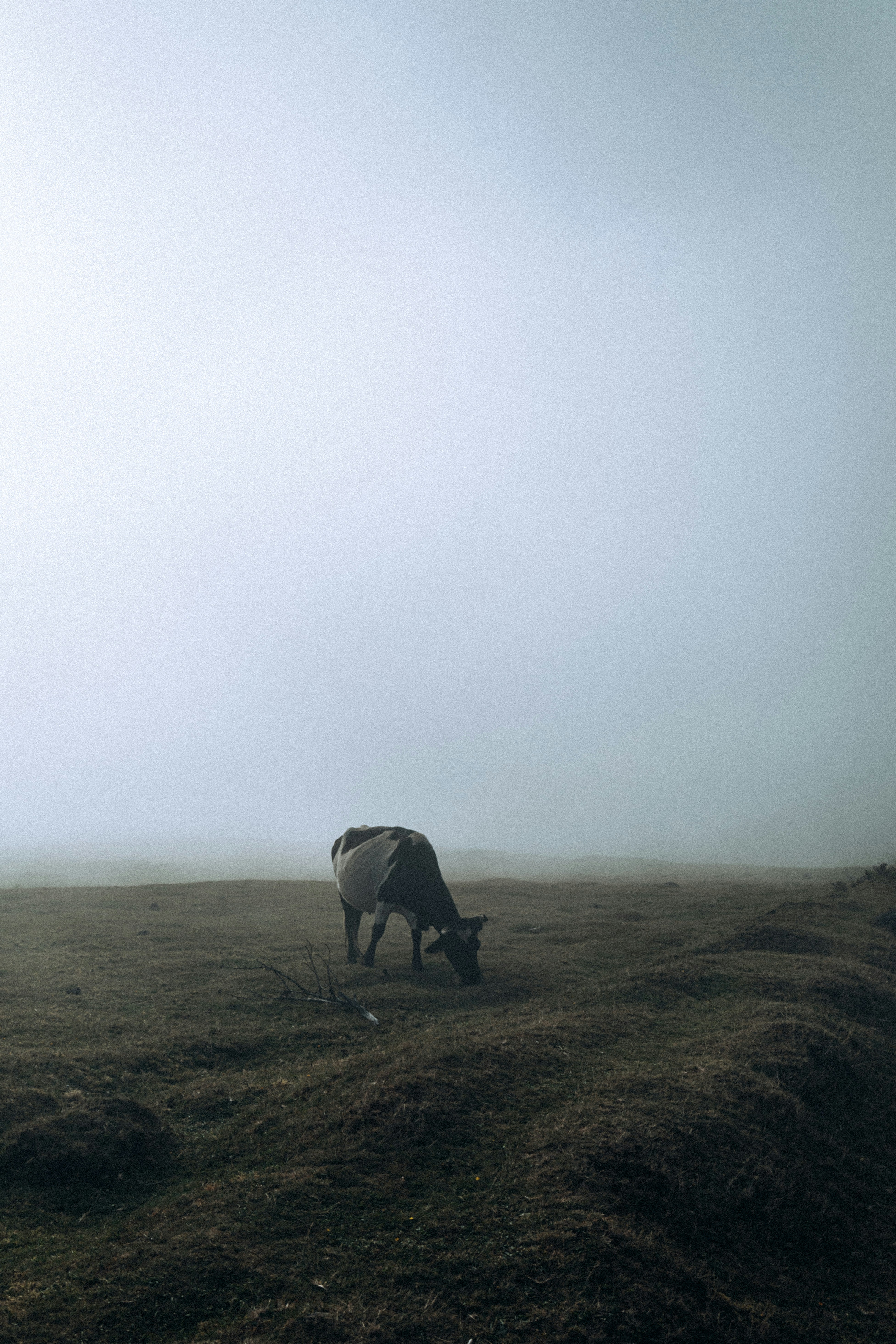 Photo by angelika_past