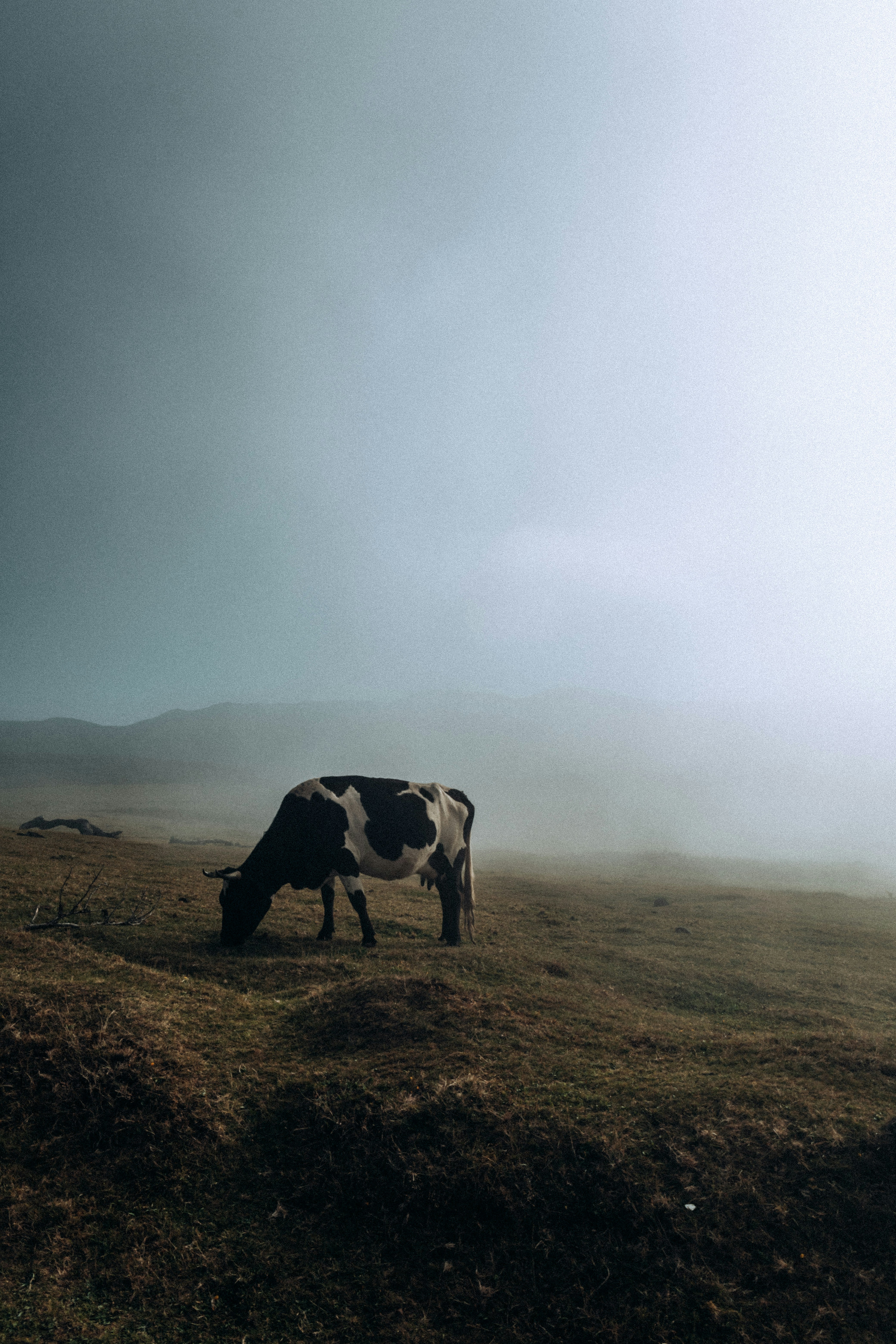 Photo by angelika_past