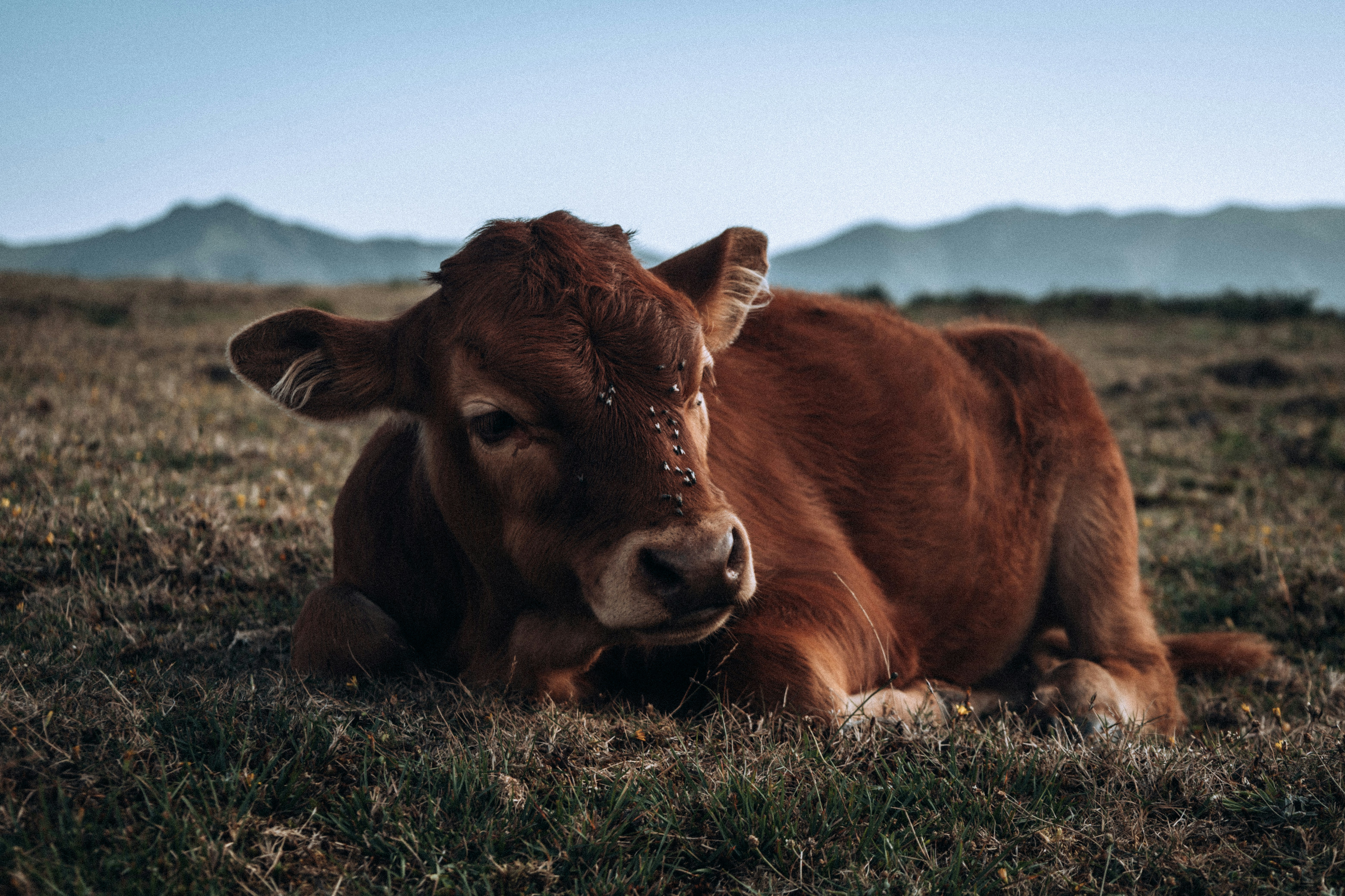 Photo by angelika_past