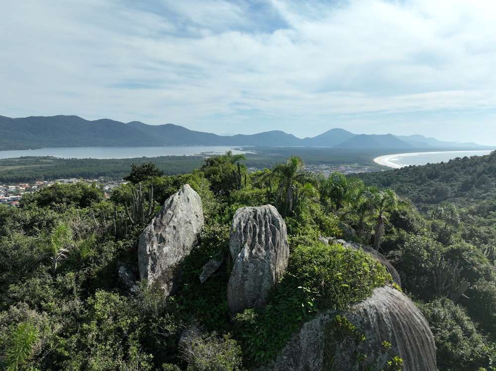 Florianópolis