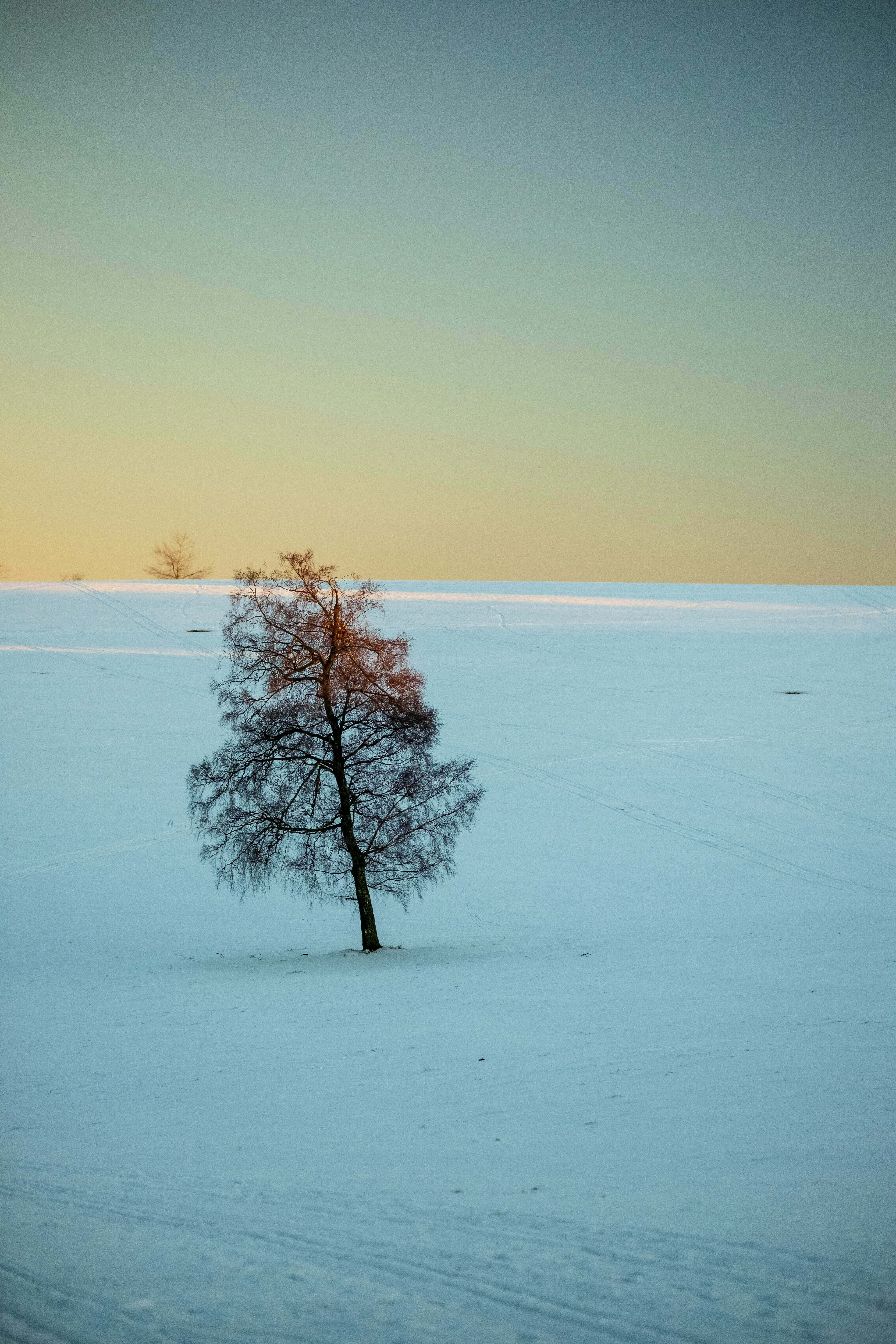 Photo by real_robster