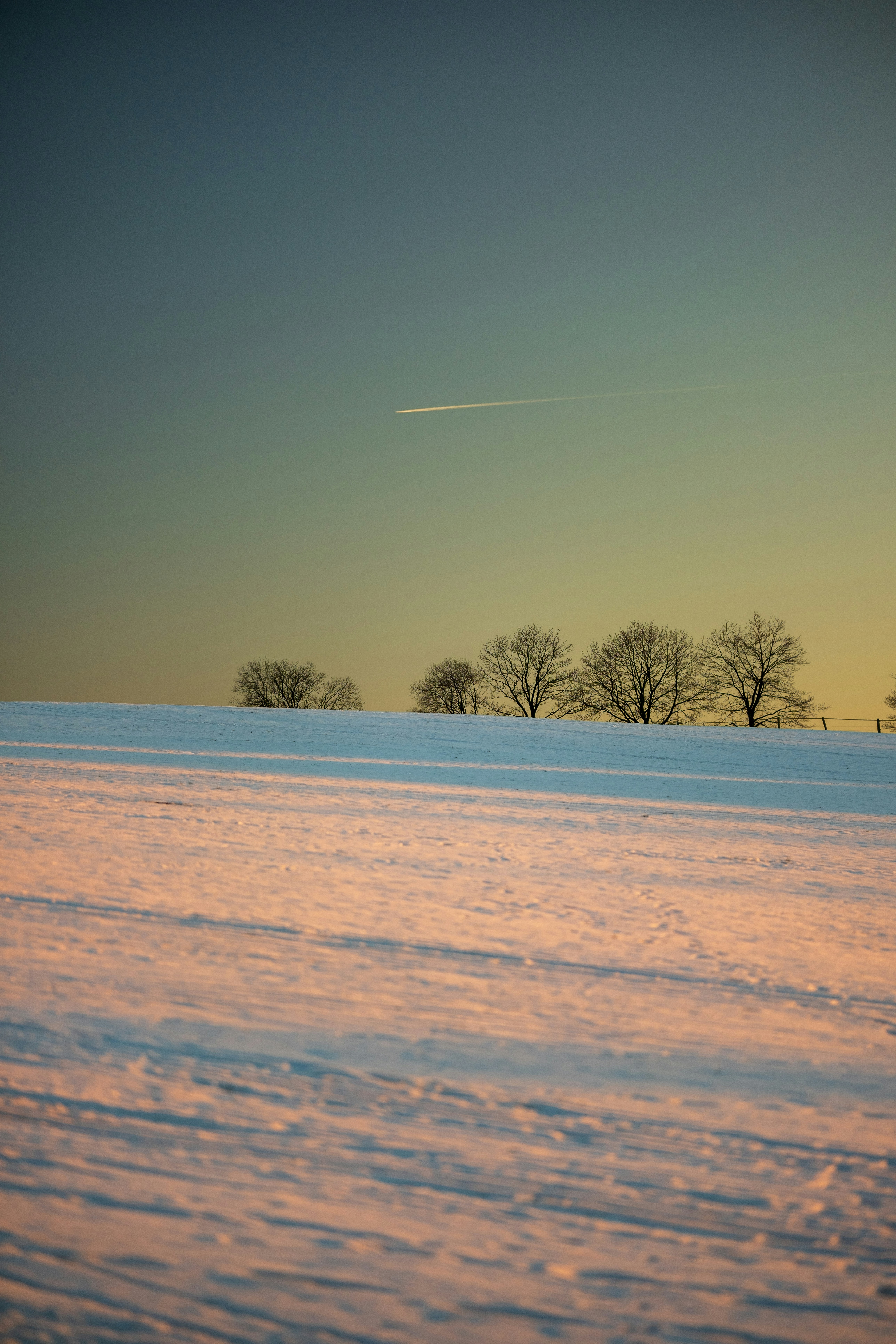 Photo by real_robster