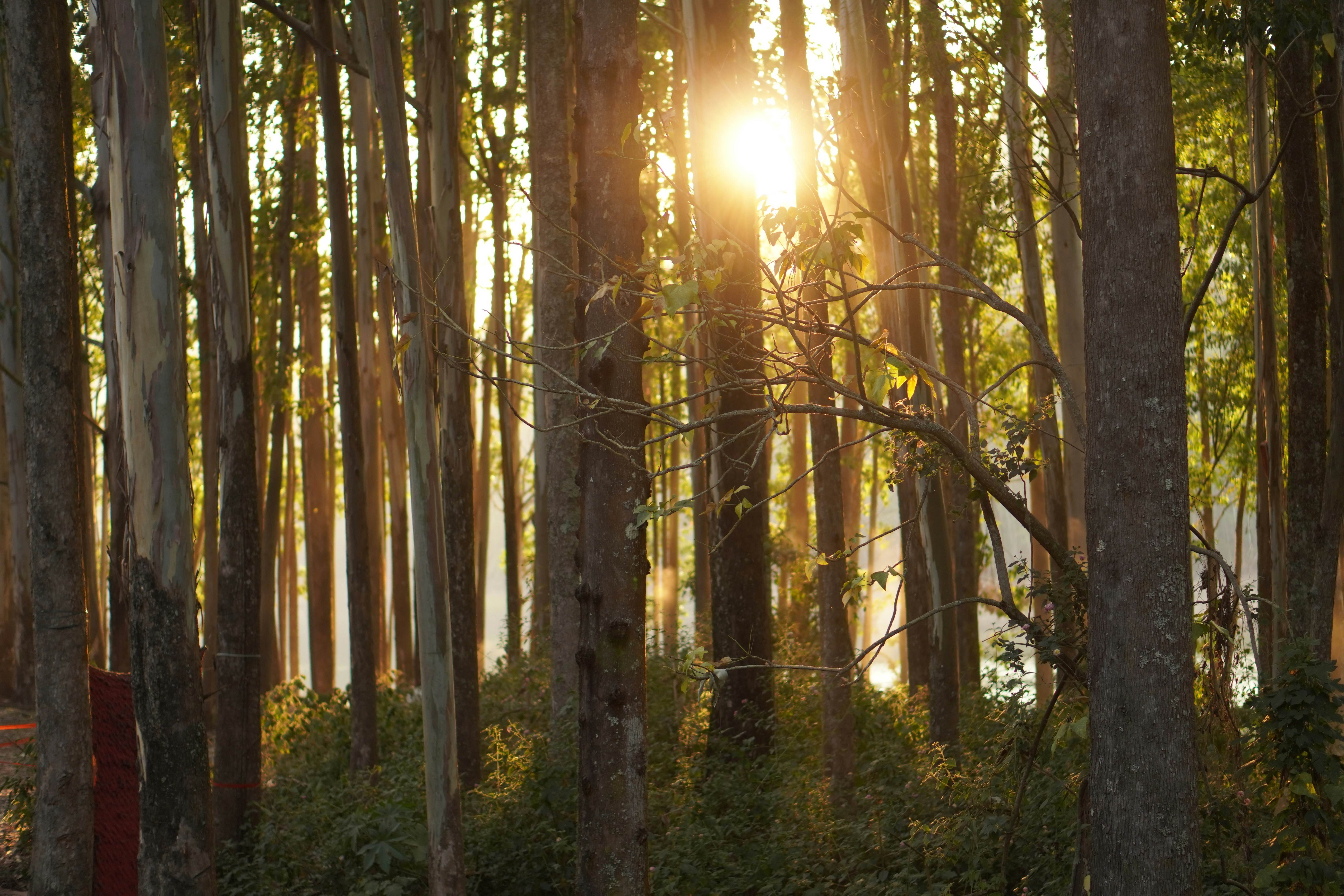 Photo by ryohei_arisu