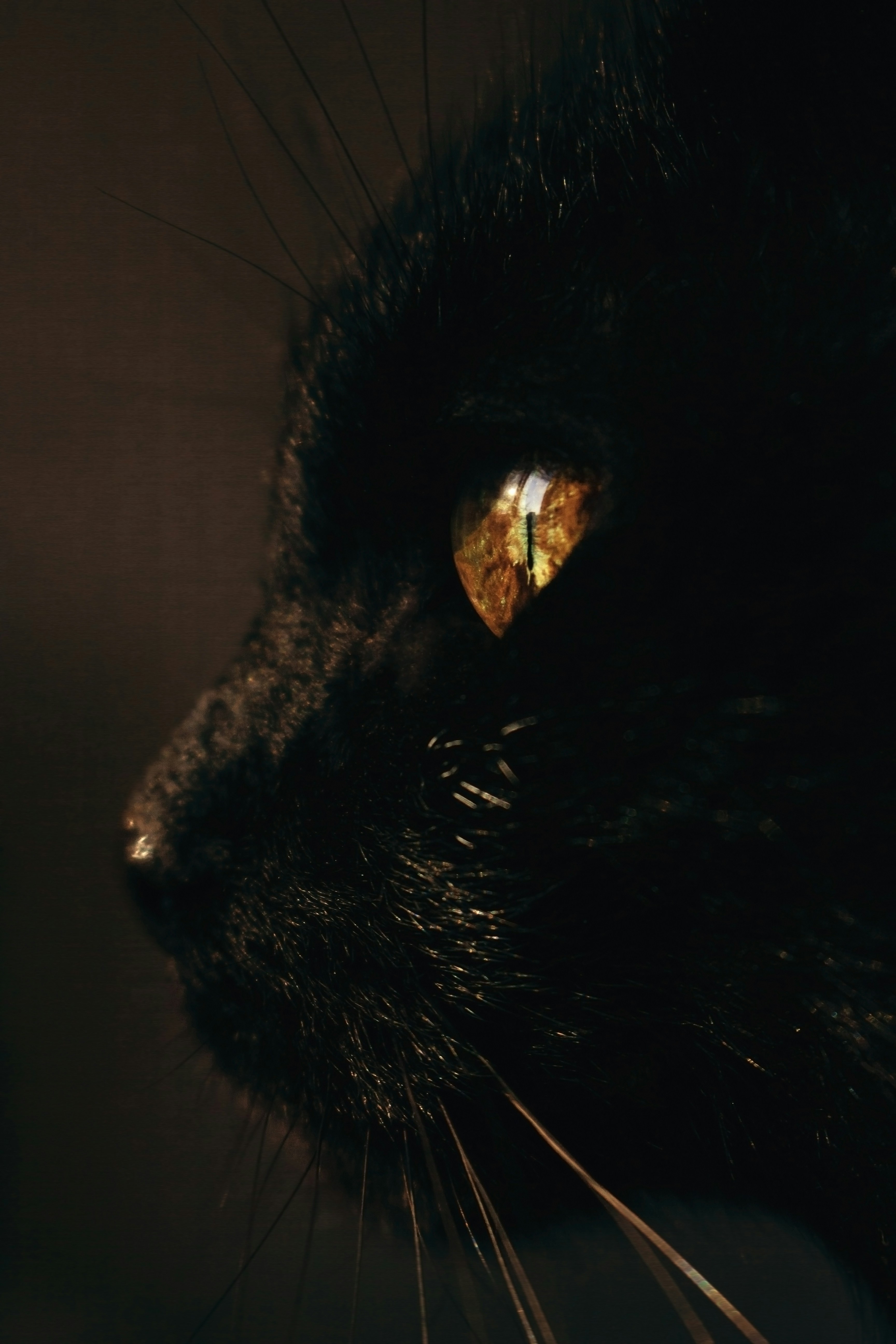 Photo by katherine1690