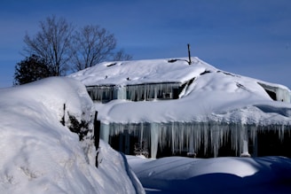 A house is covered in ice and snow