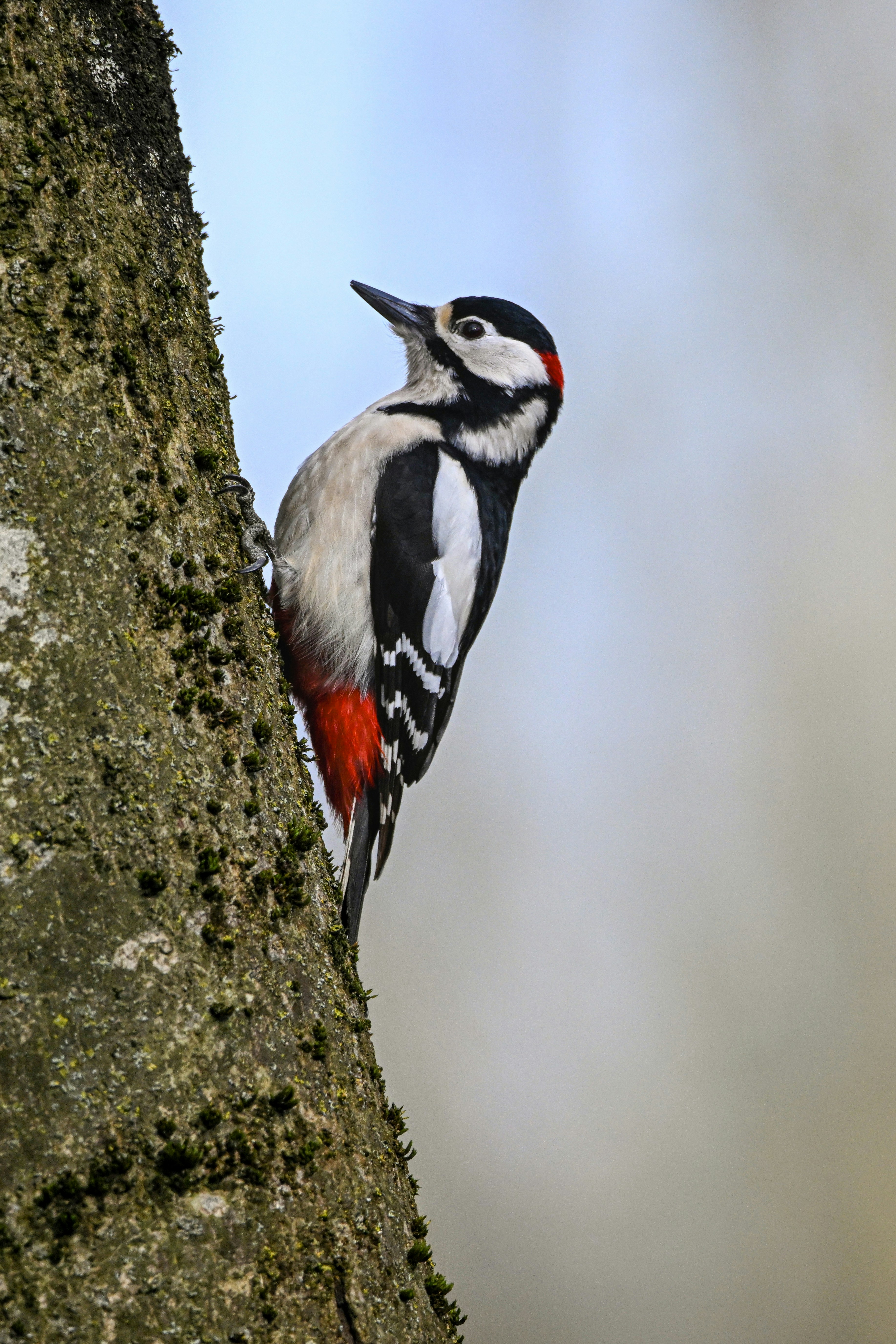 Photo by siegfriedpoepperl