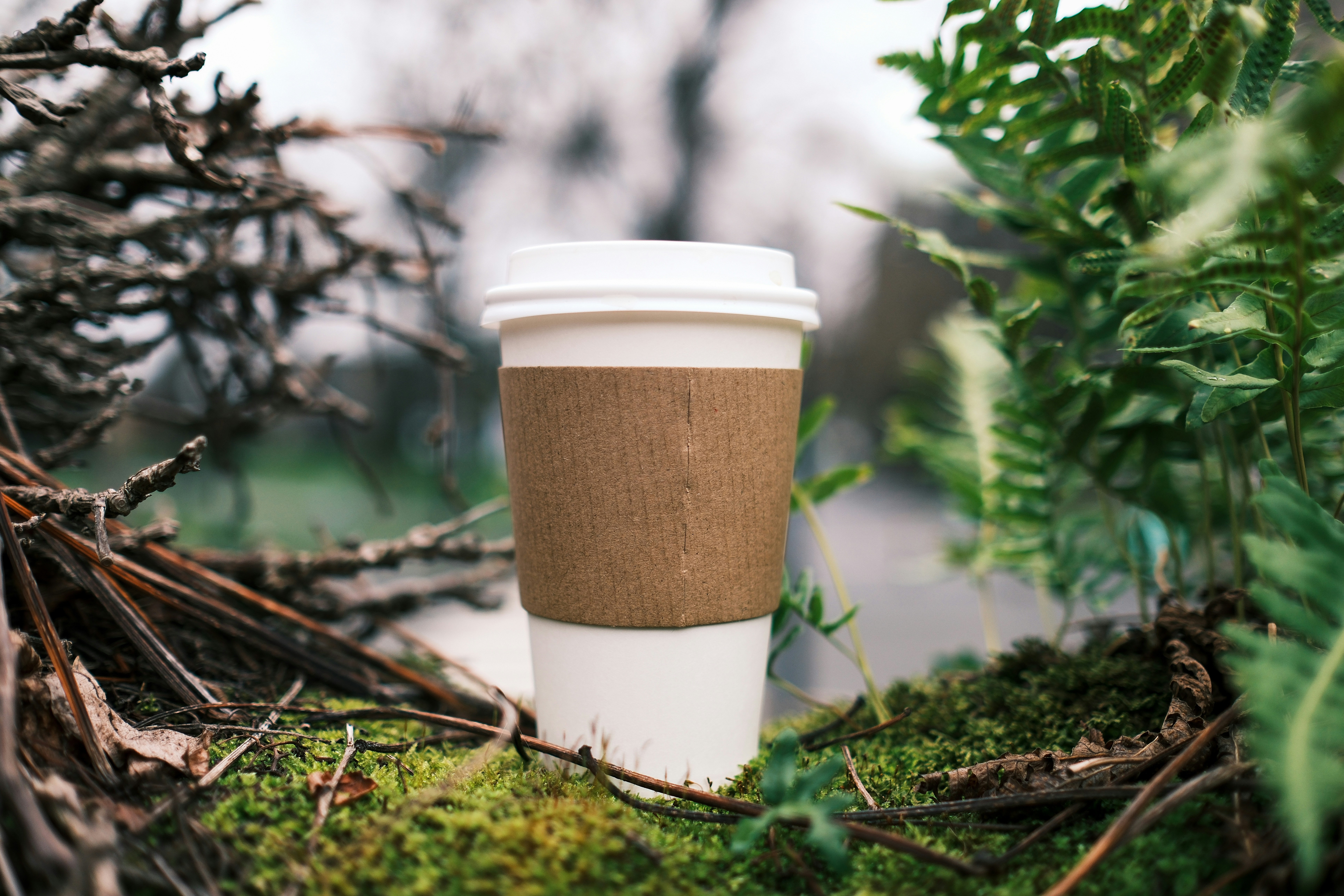 Black tea meets green tea