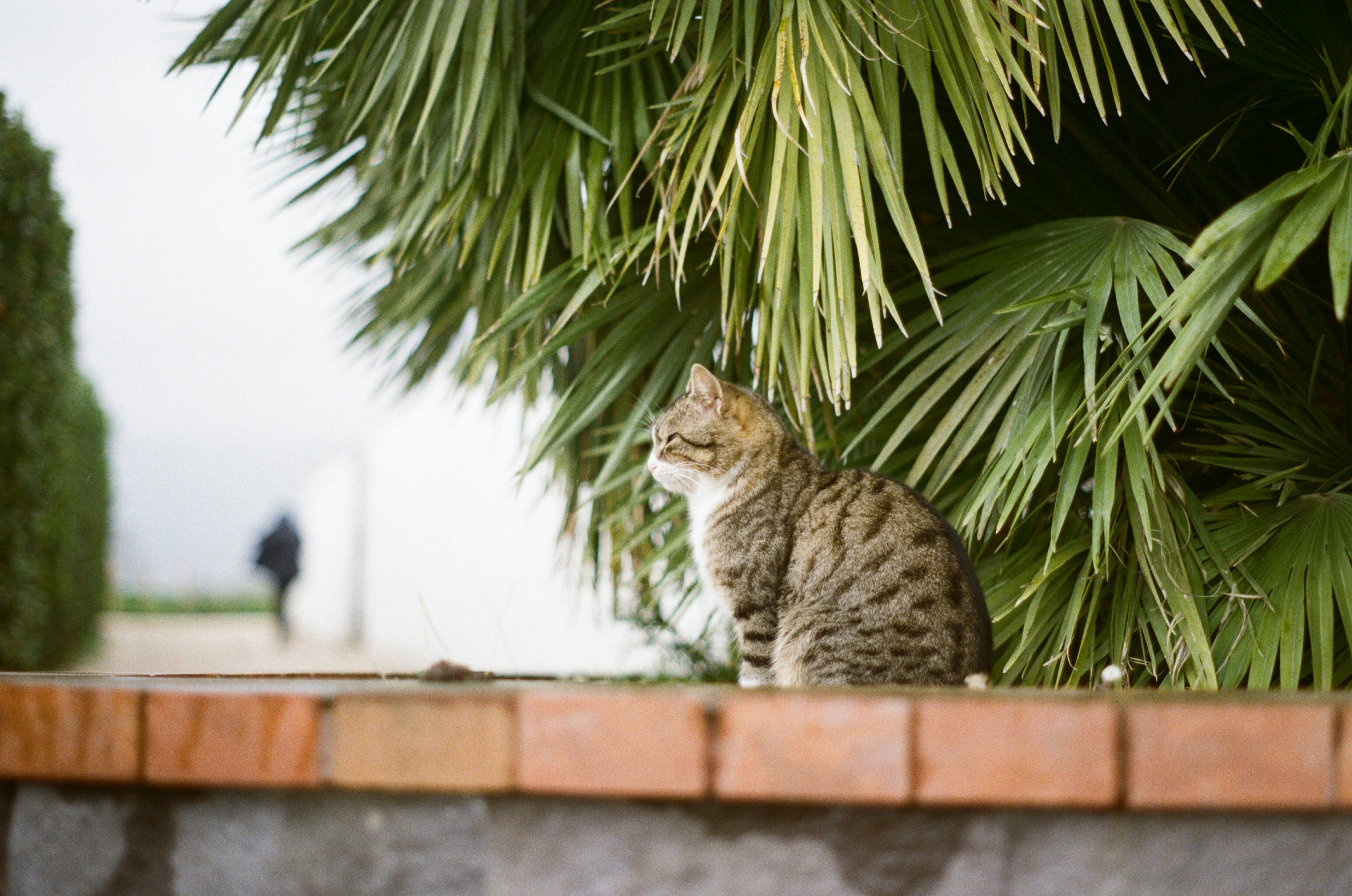 Photo by mountaincharlie