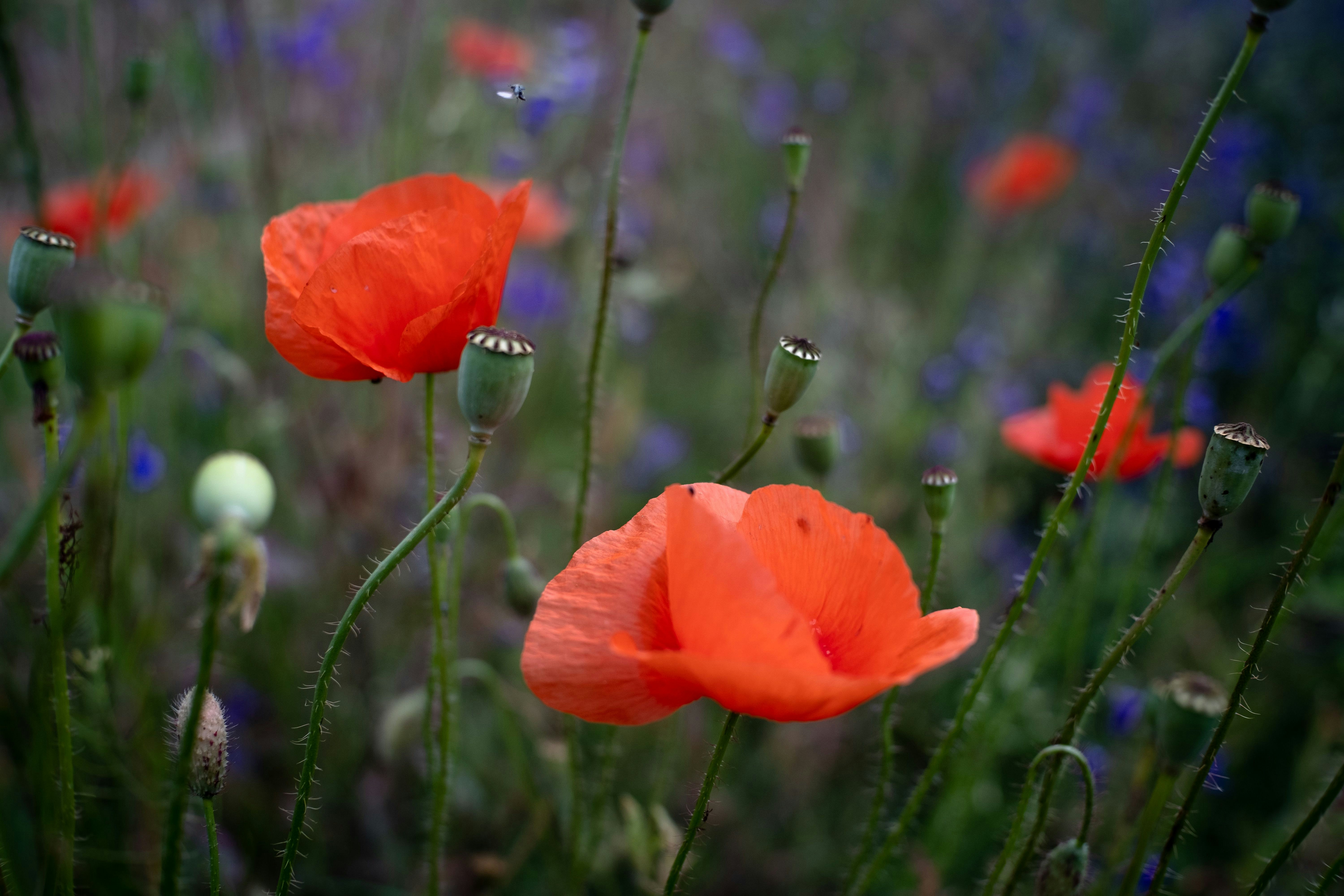 Photo by sevencolors