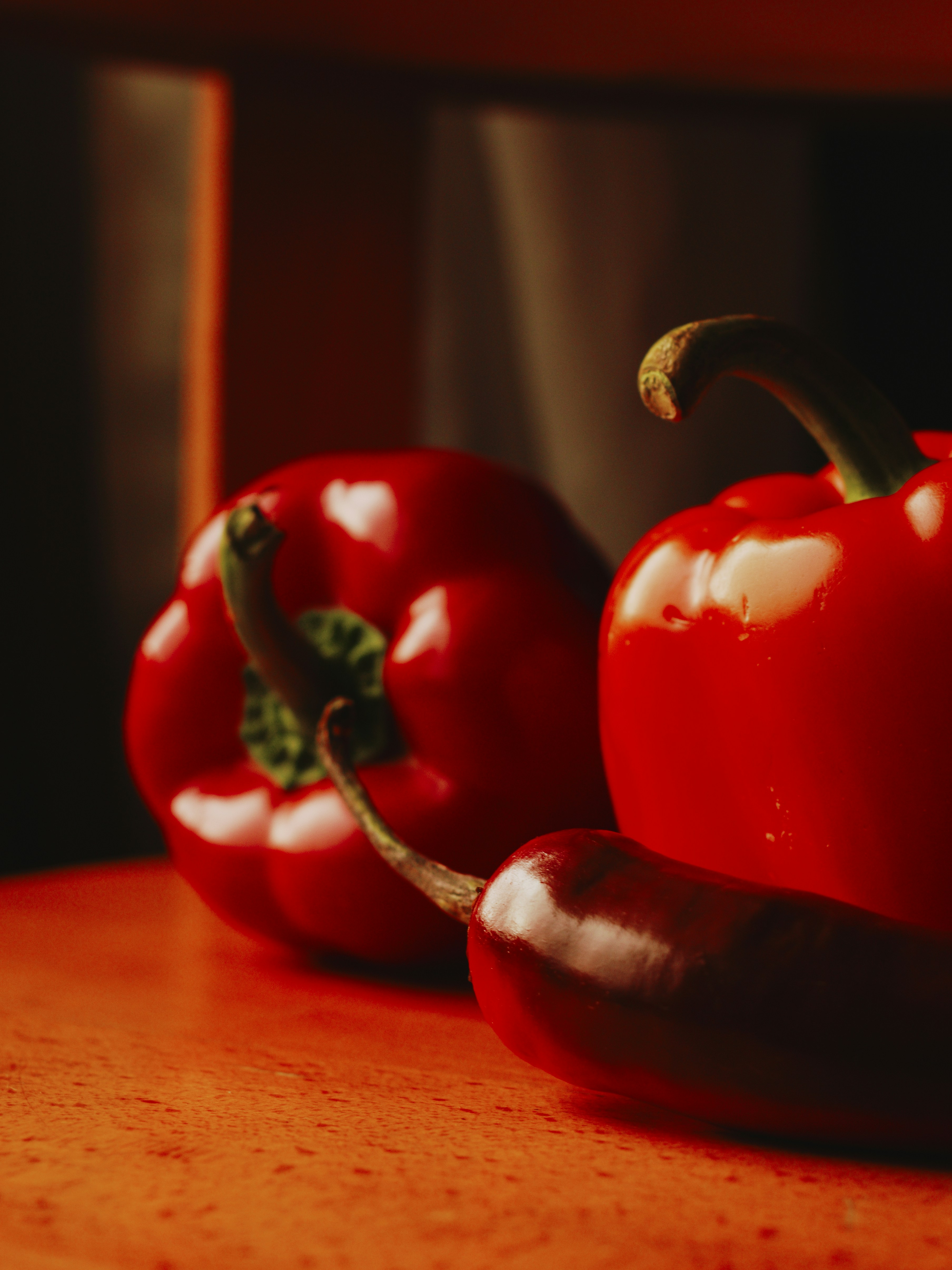 Photo by naderayman_photography