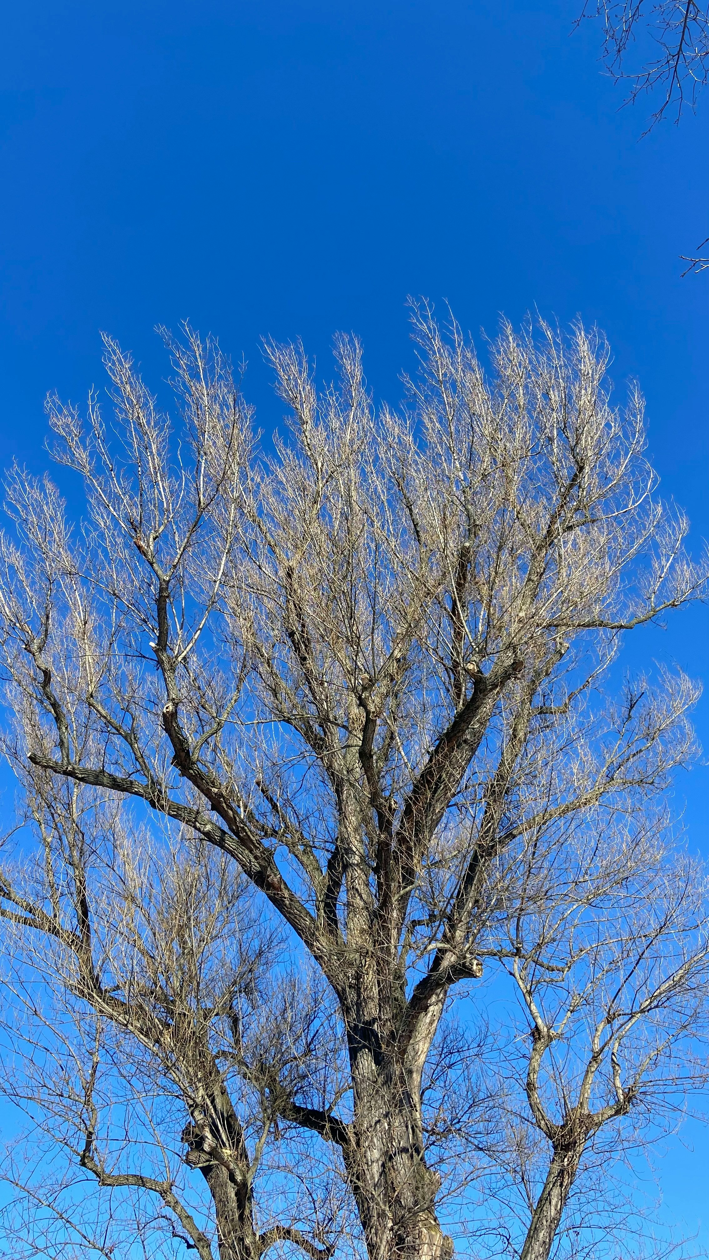 Photo by jonasfromberlin