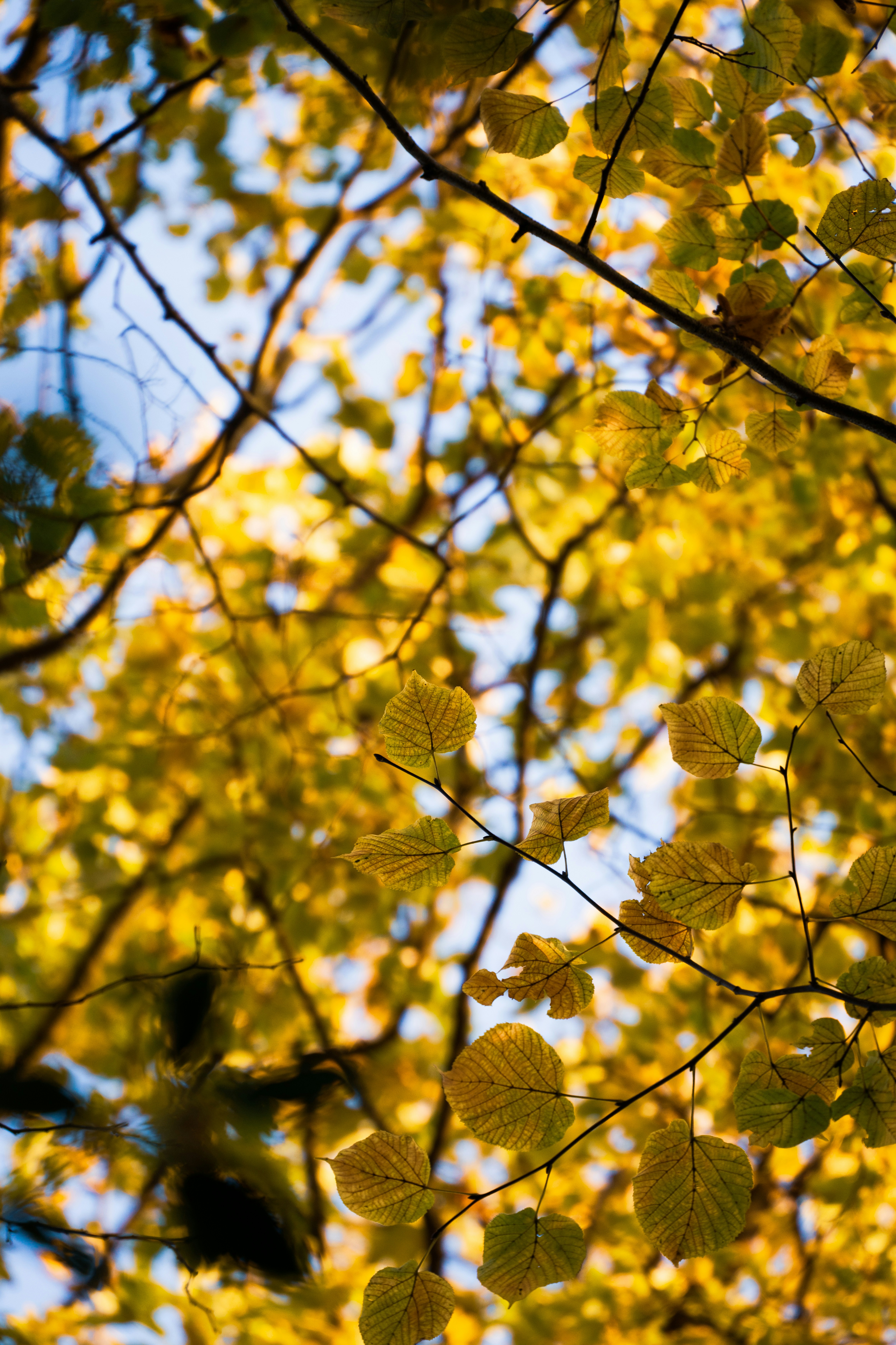 Photo by jiksonjohnson