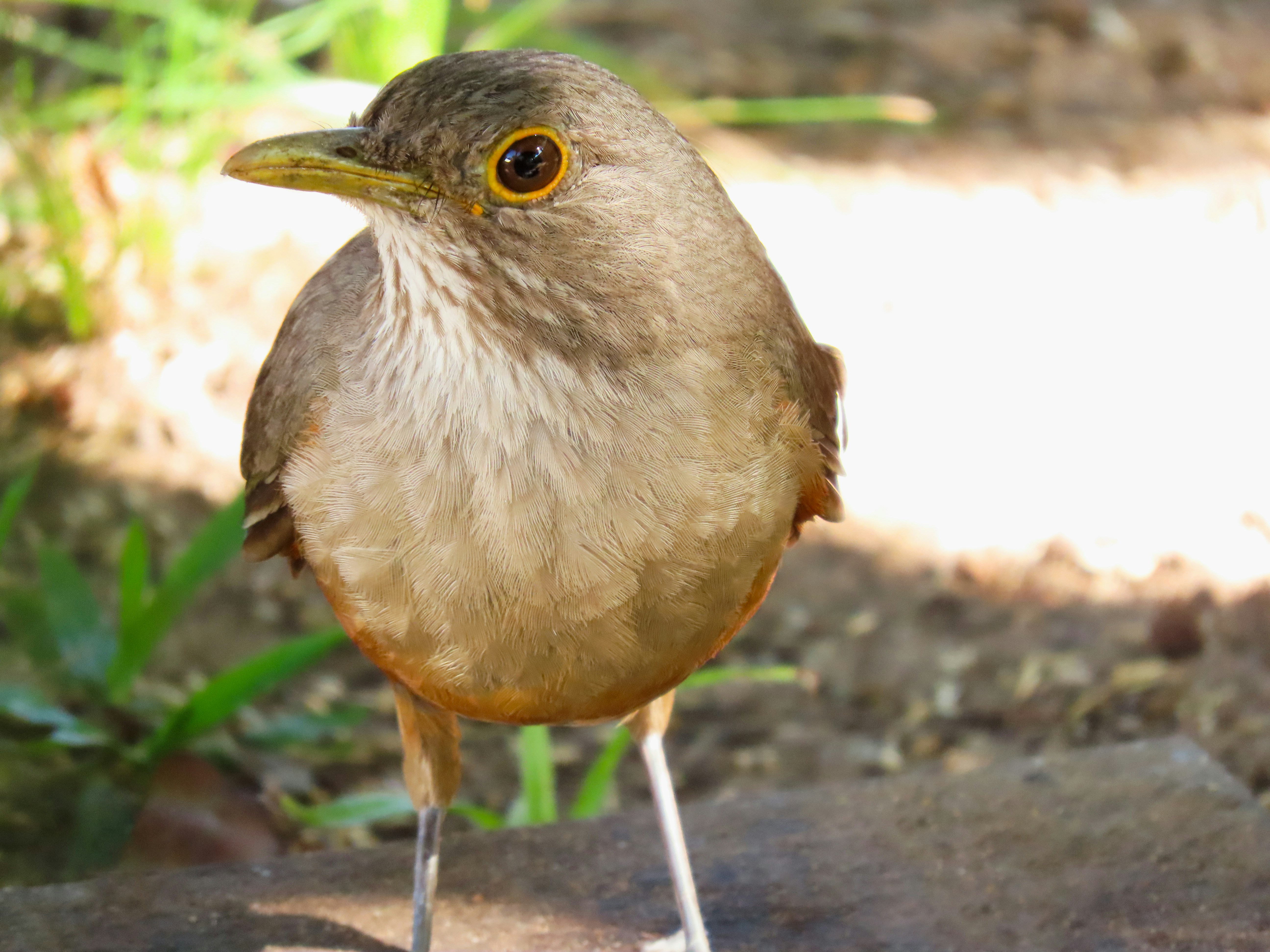 Photo by patricianicoloso