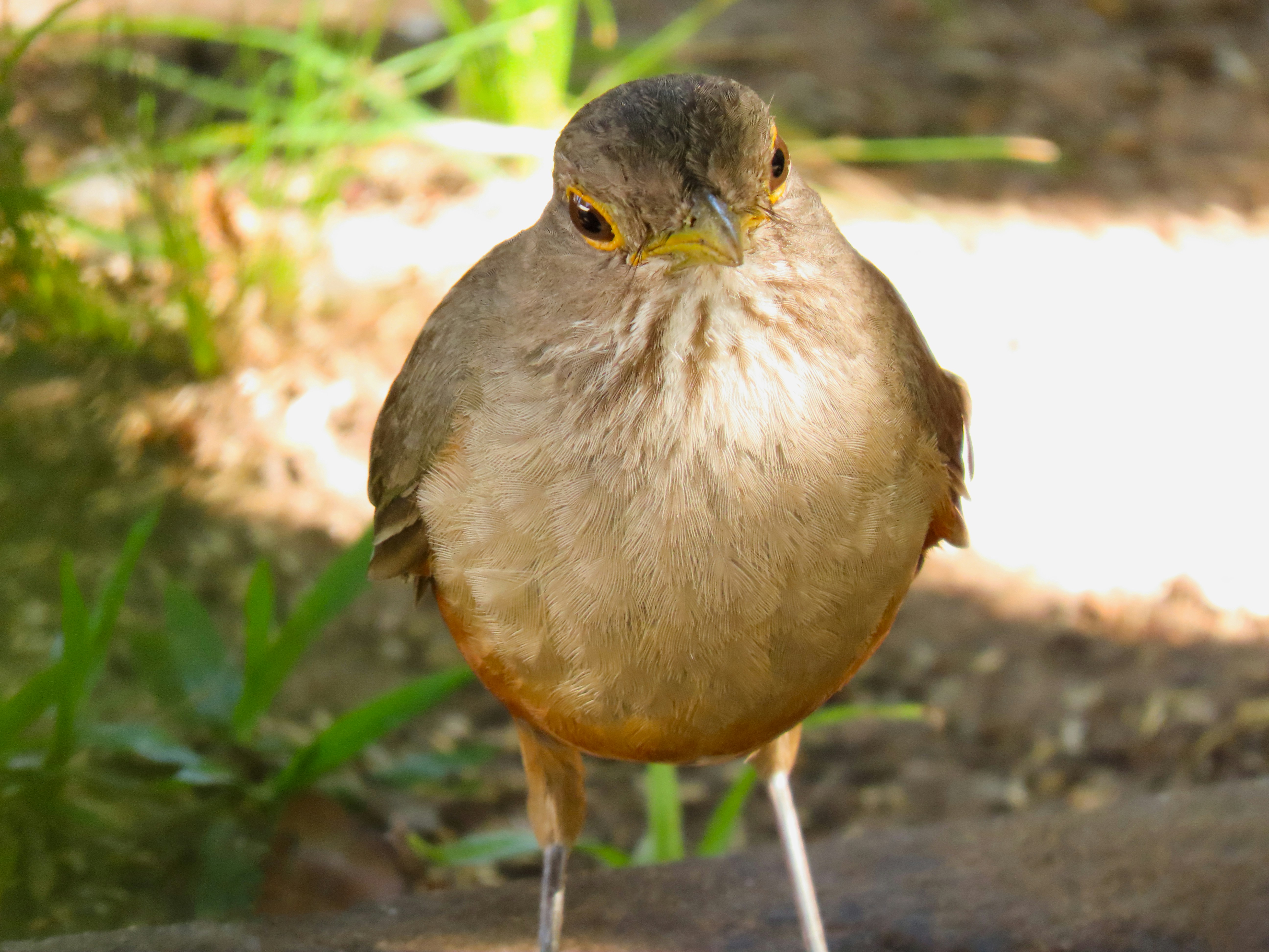 Photo by patricianicoloso