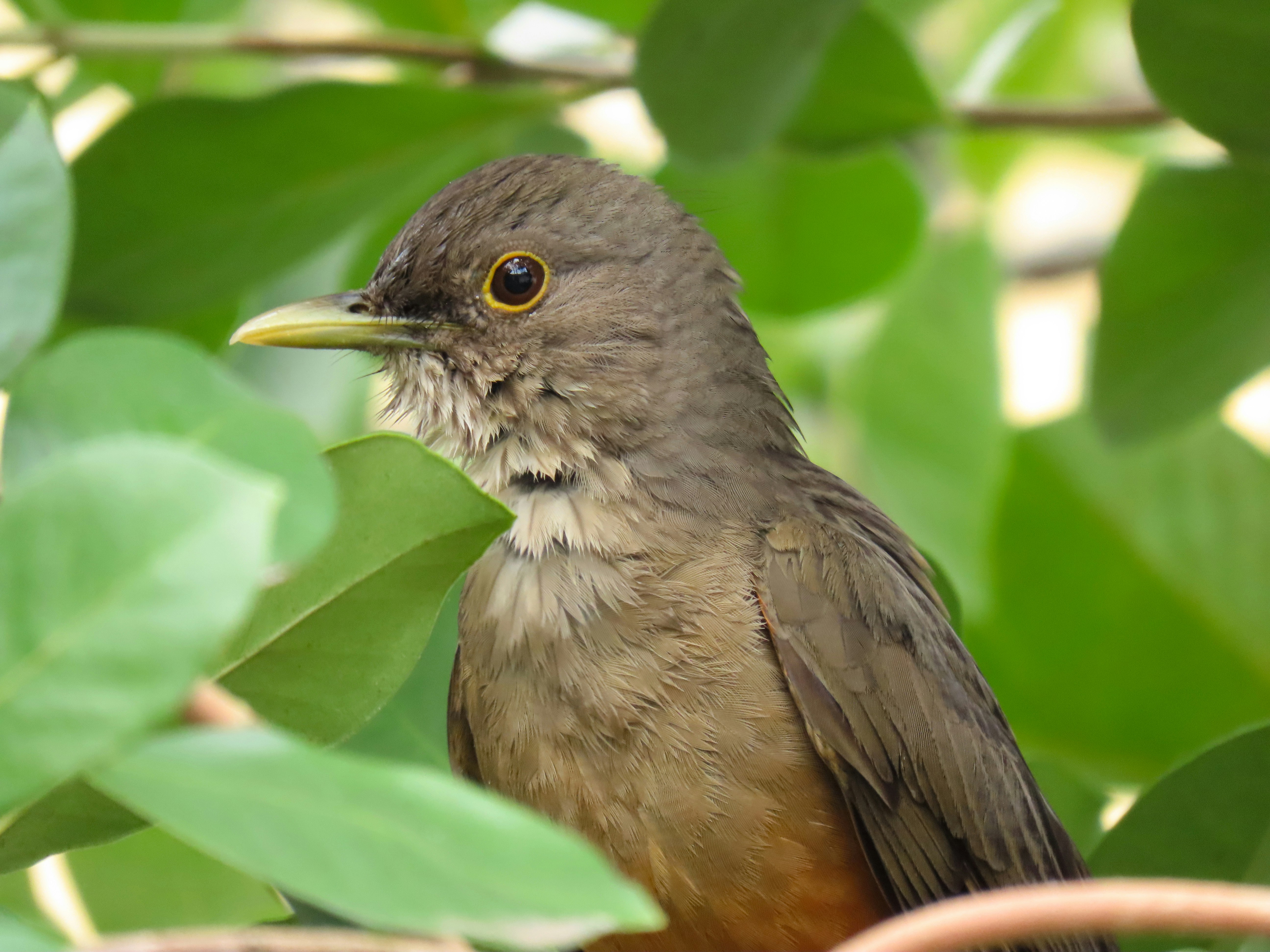 Photo by patricianicoloso