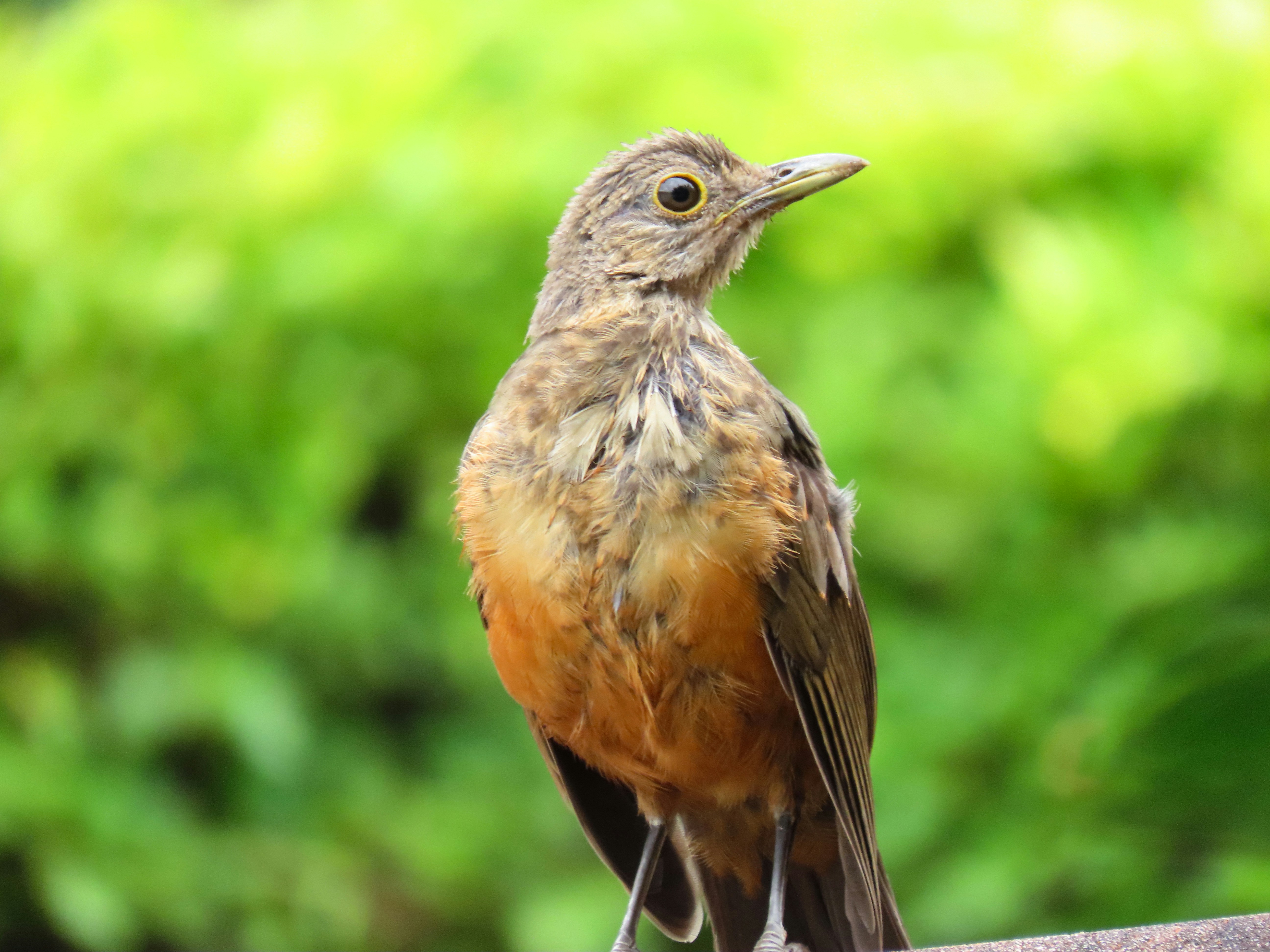 Photo by patricianicoloso