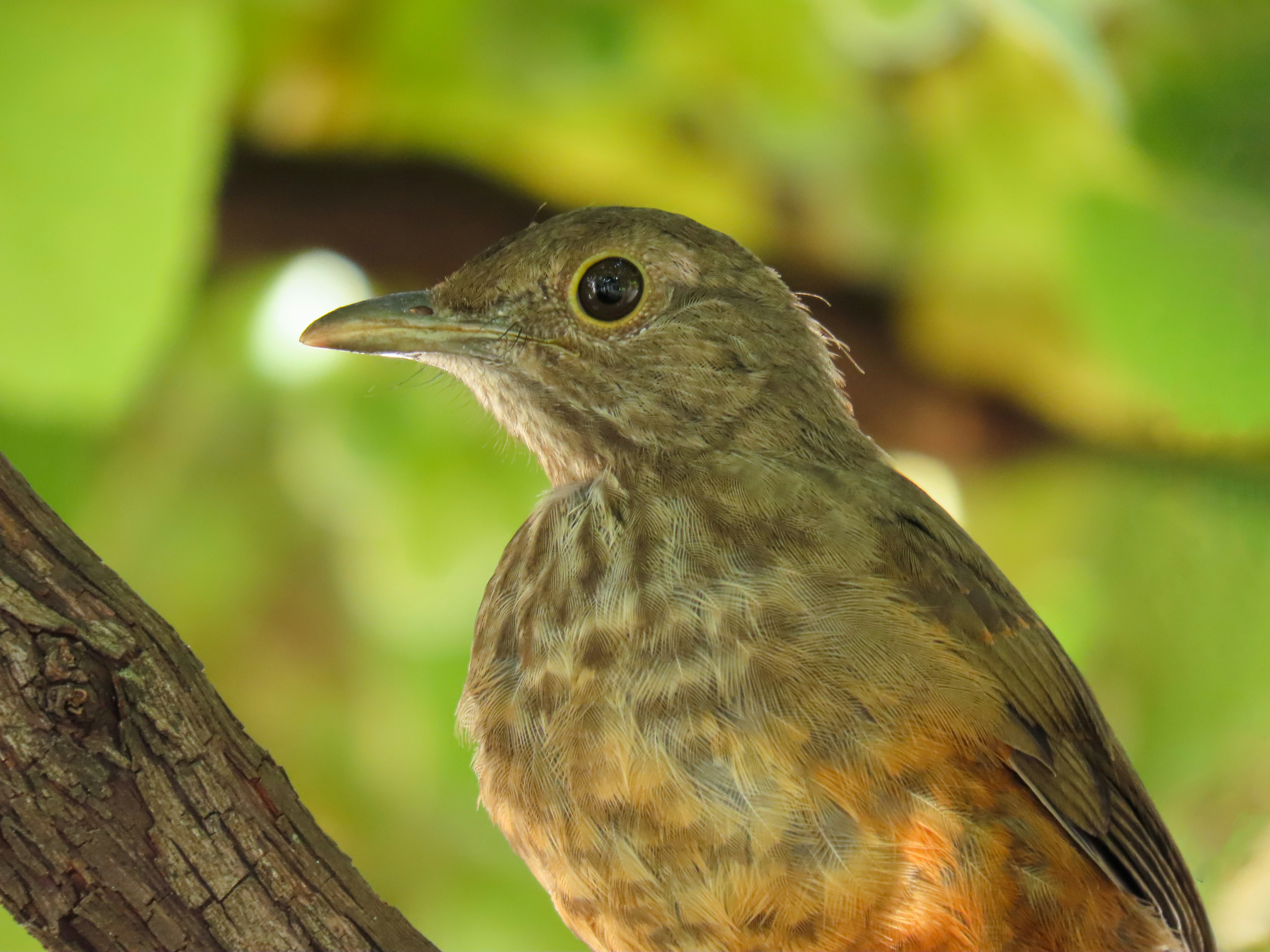 Photo by patricianicoloso