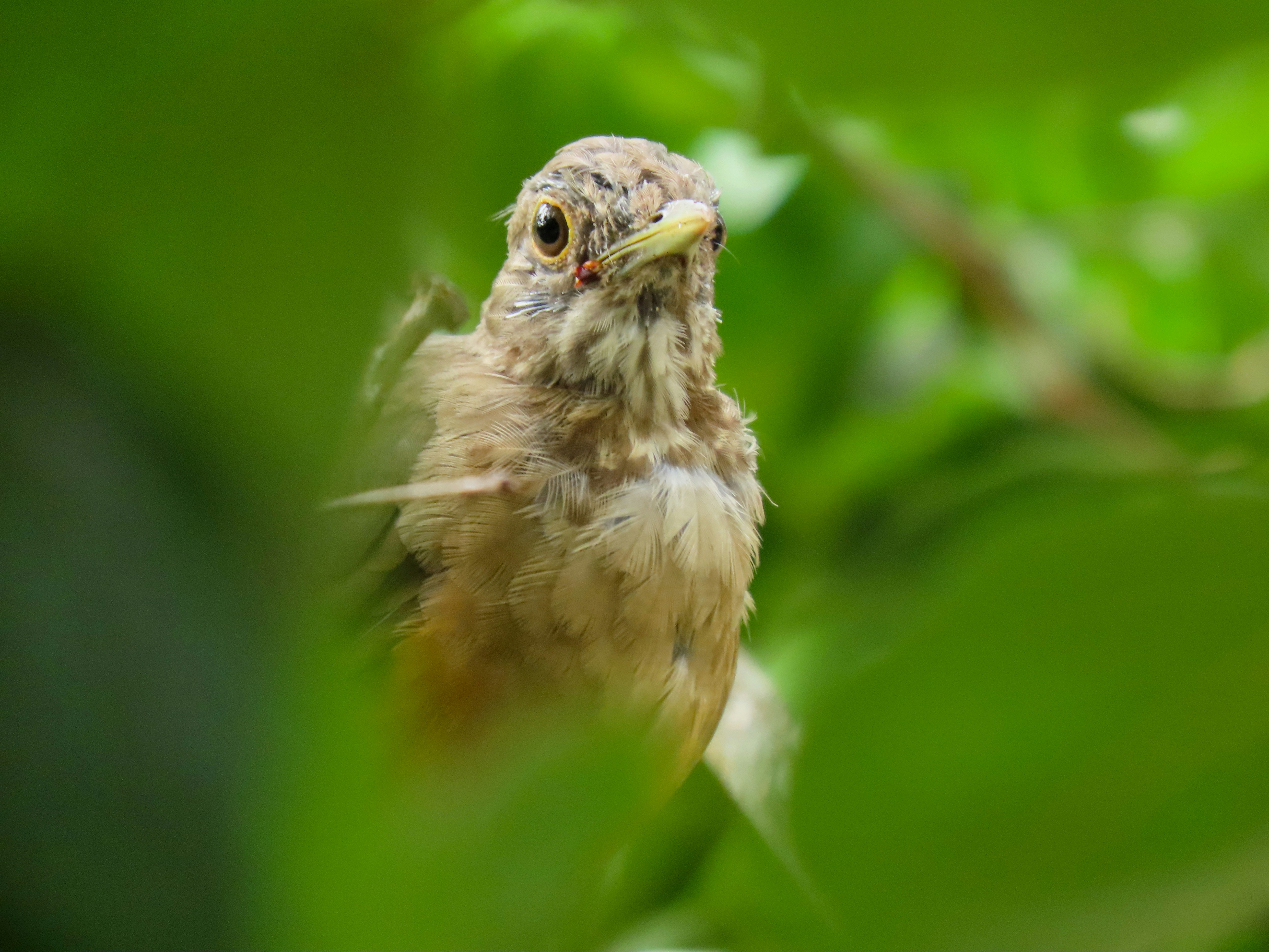 Photo by patricianicoloso