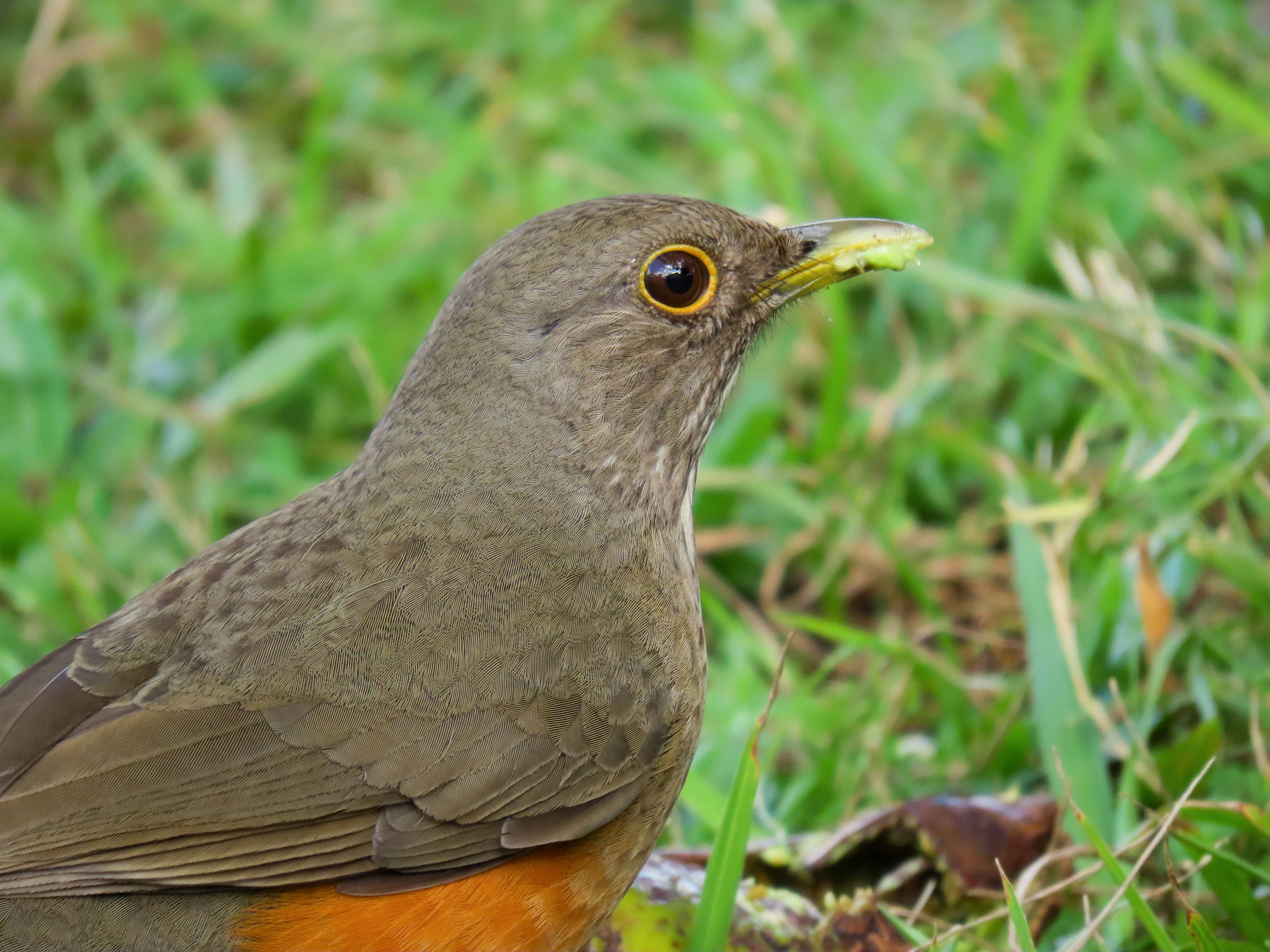 Photo by patricianicoloso