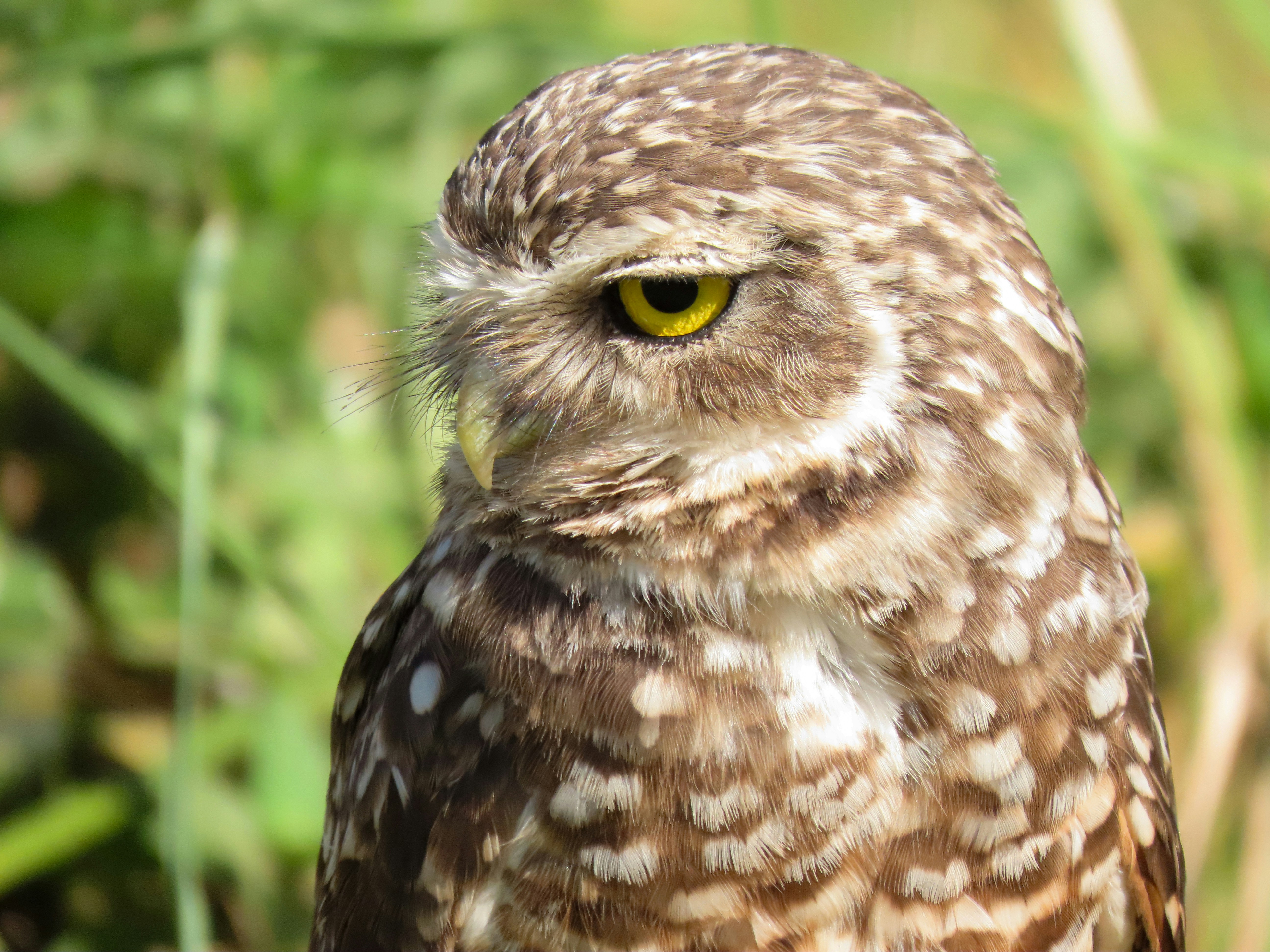 Photo by patricianicoloso