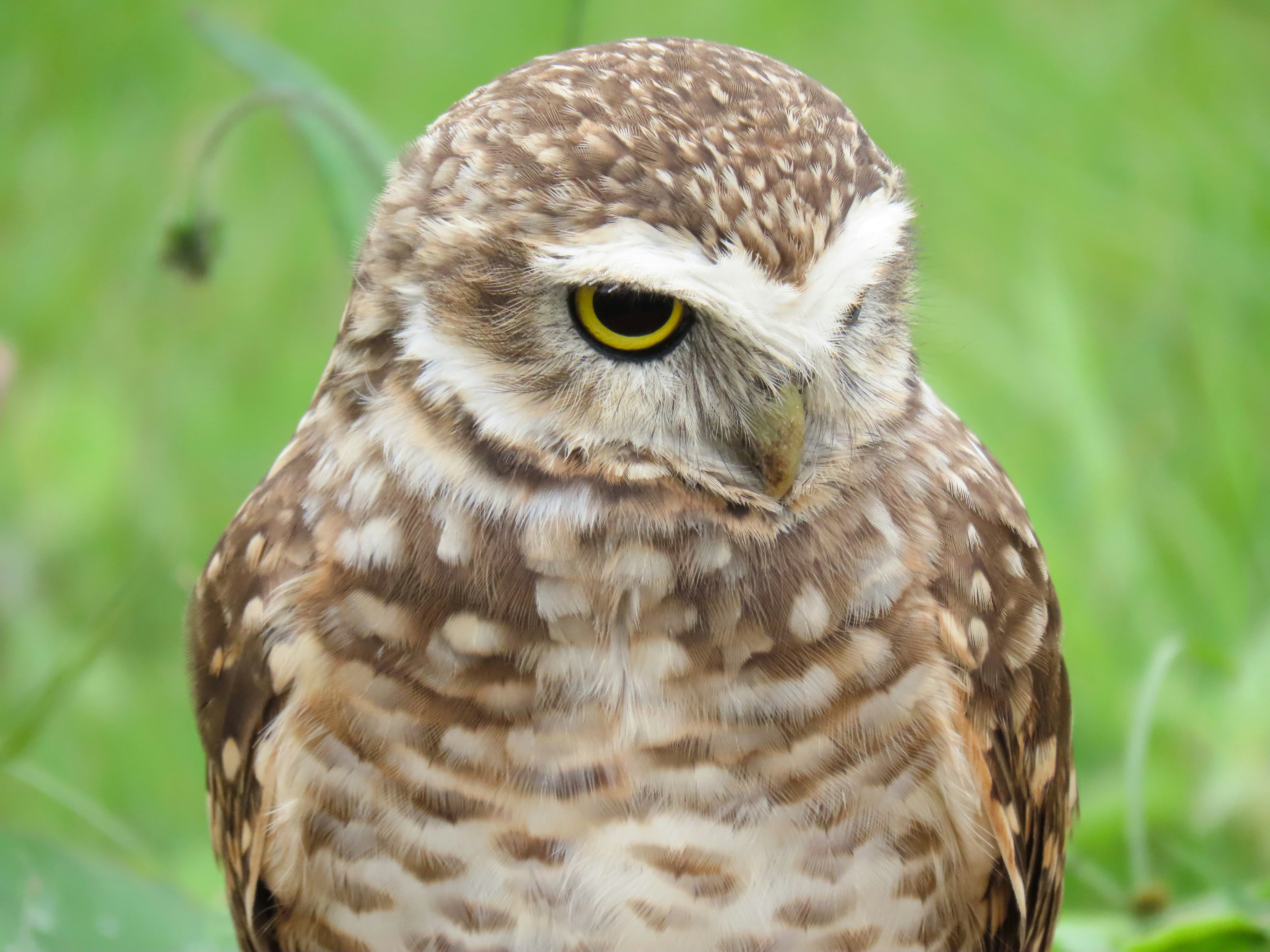 Photo by patricianicoloso