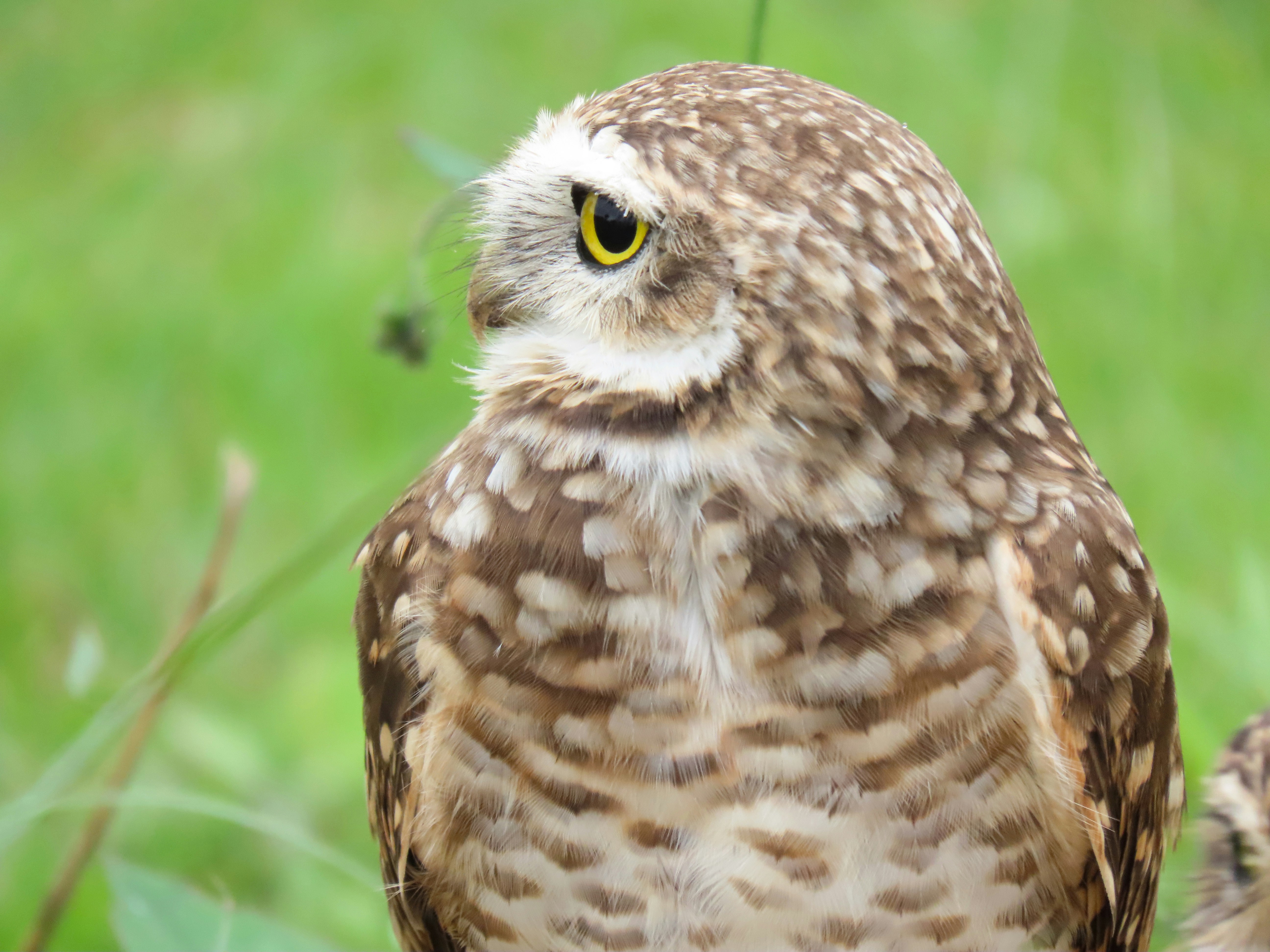 Photo by patricianicoloso