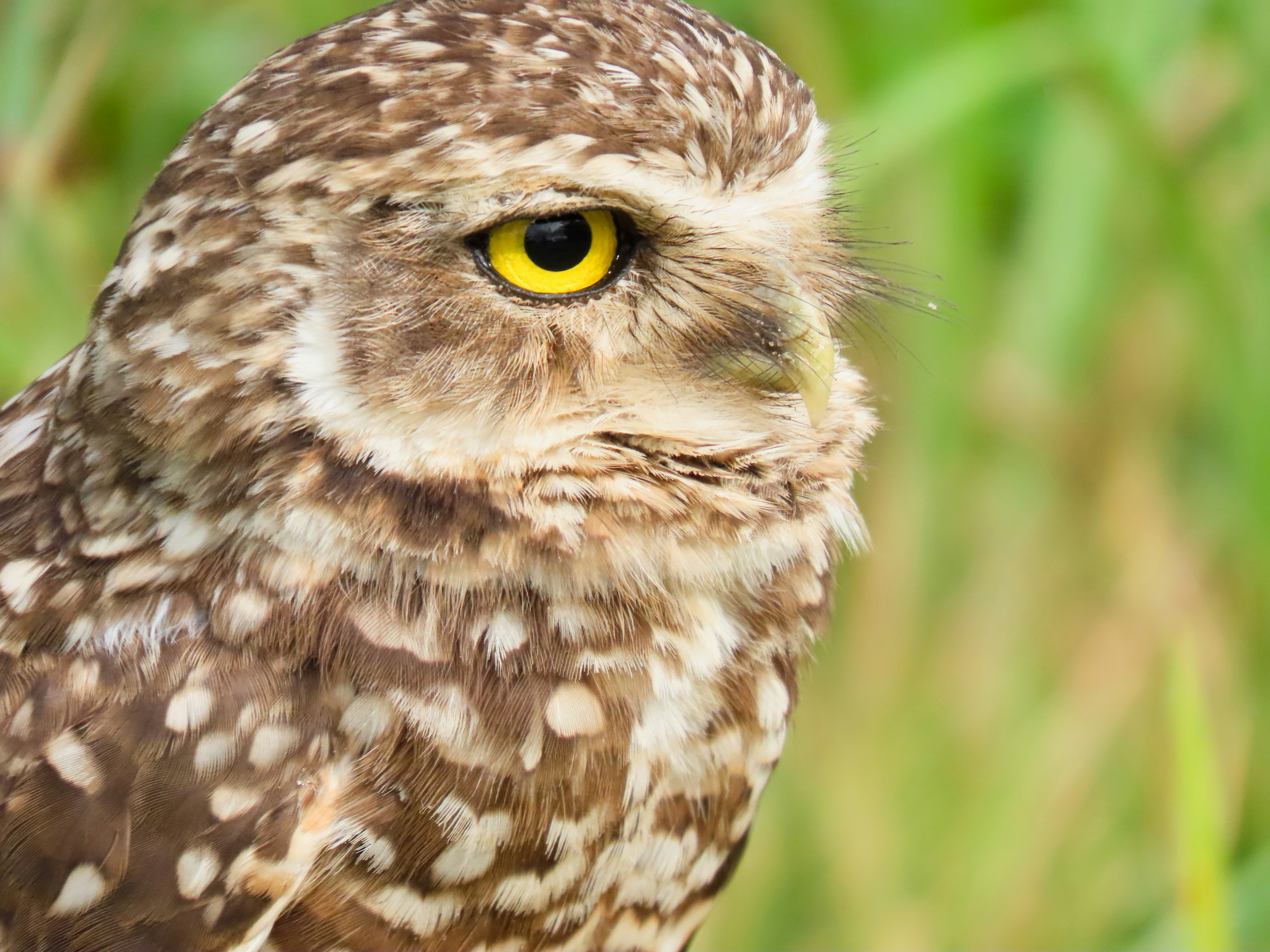 Photo by patricianicoloso