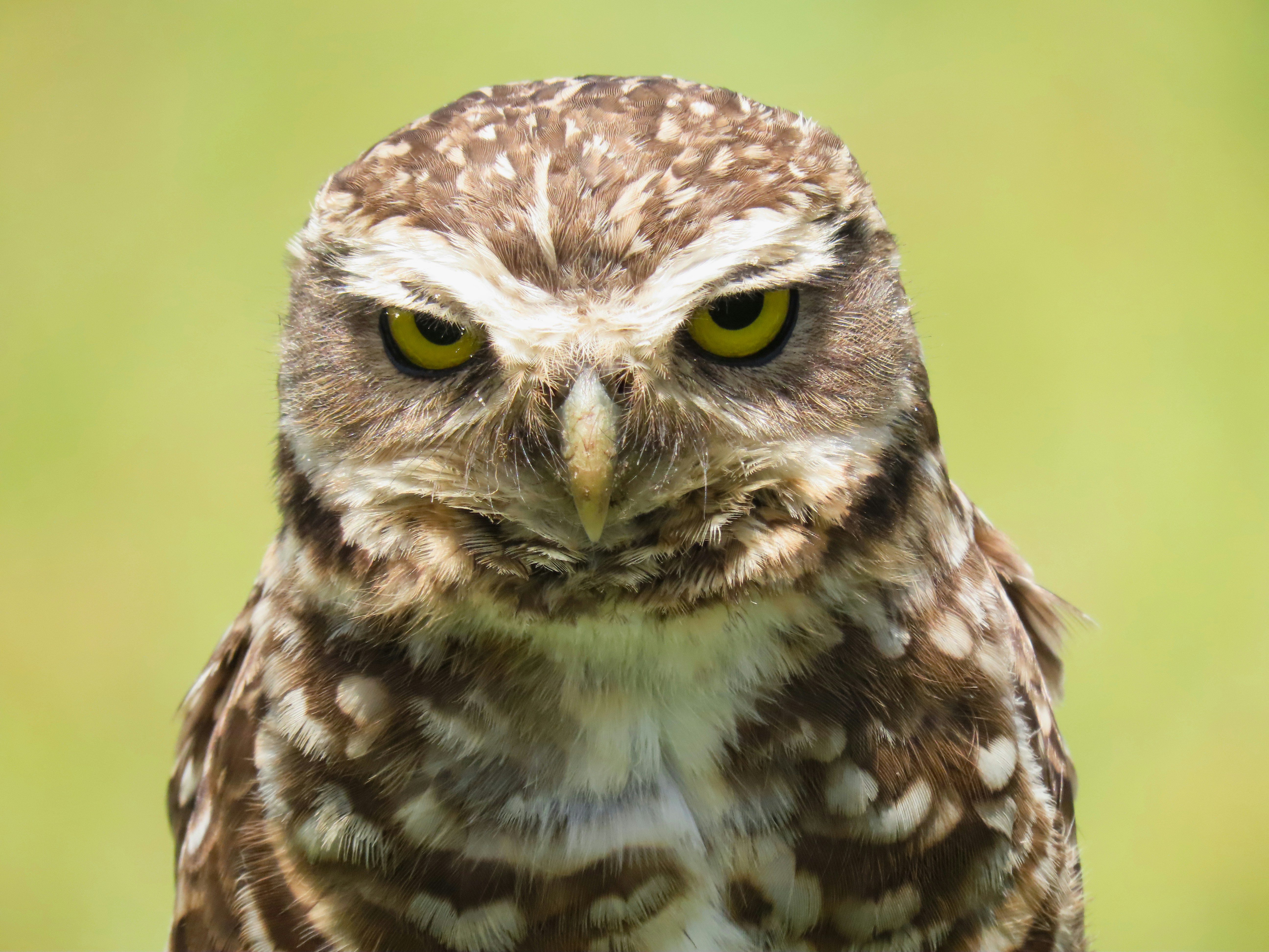 Photo by patricianicoloso