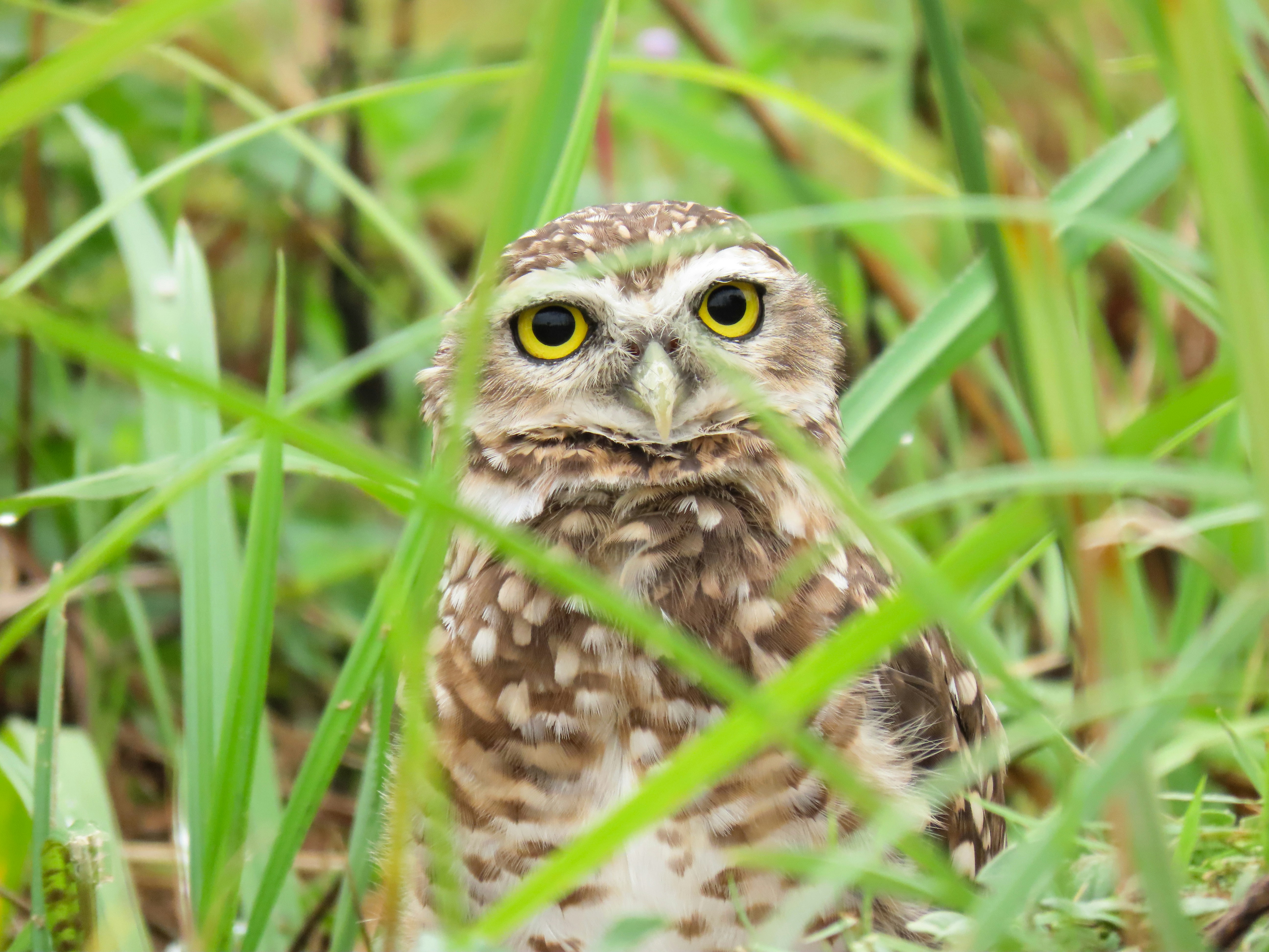 Photo by patricianicoloso