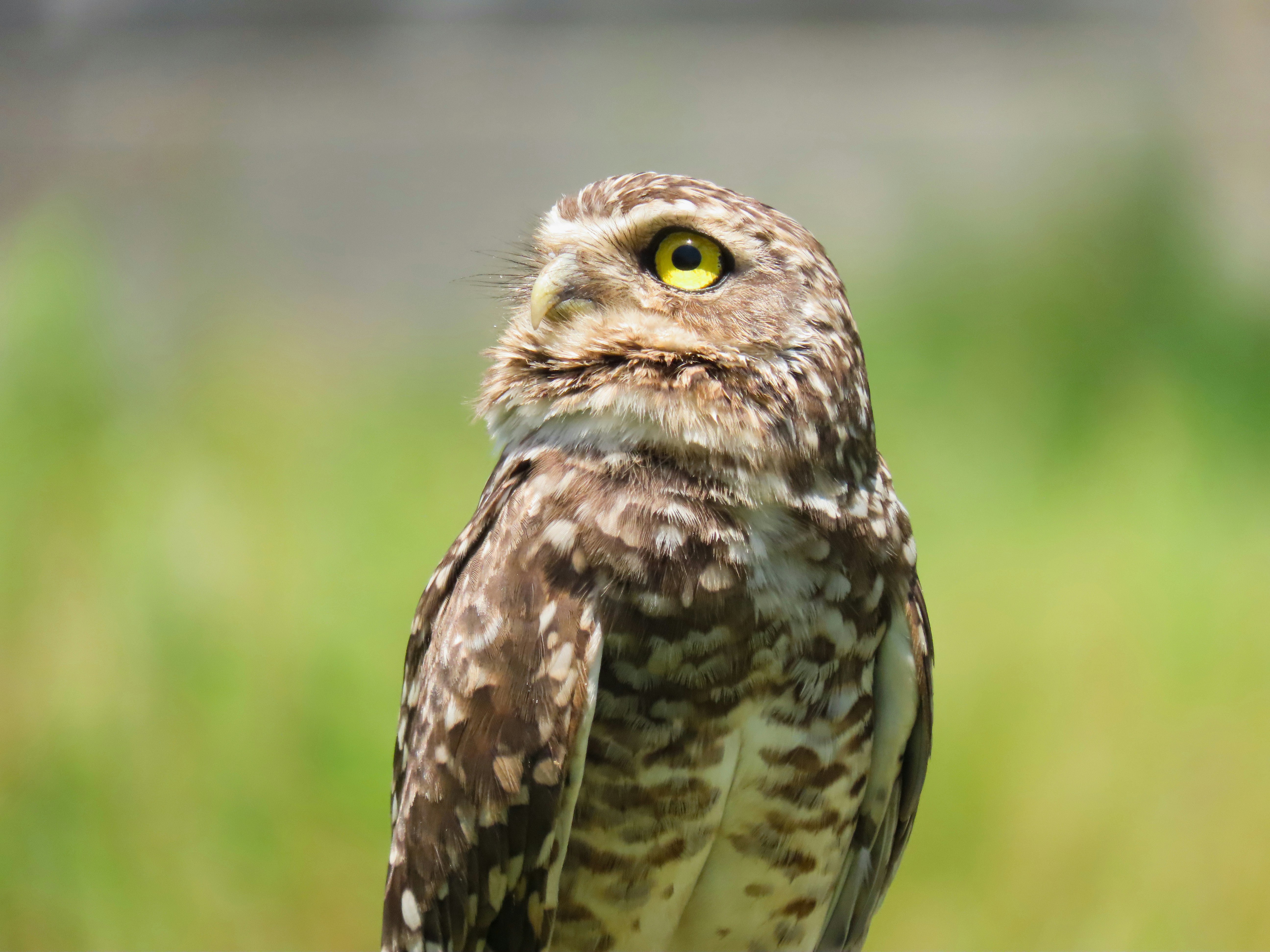 Photo by patricianicoloso